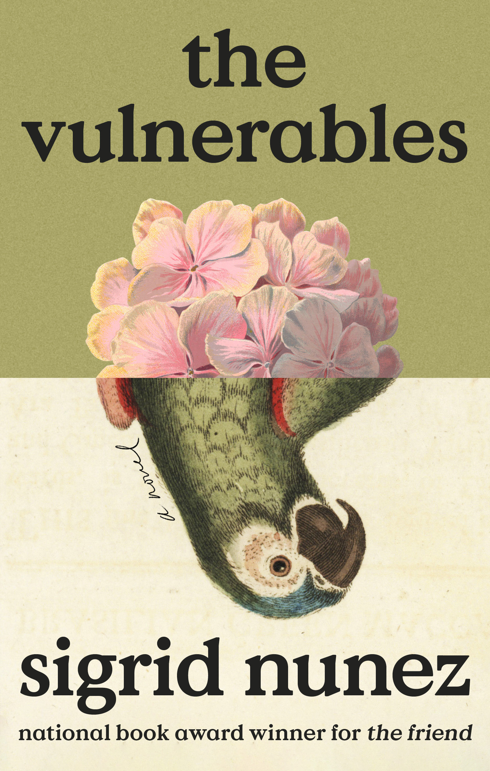 The Vulnerables (Hardcover Book)