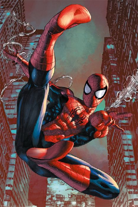 Spider-Man Web Sling Poster