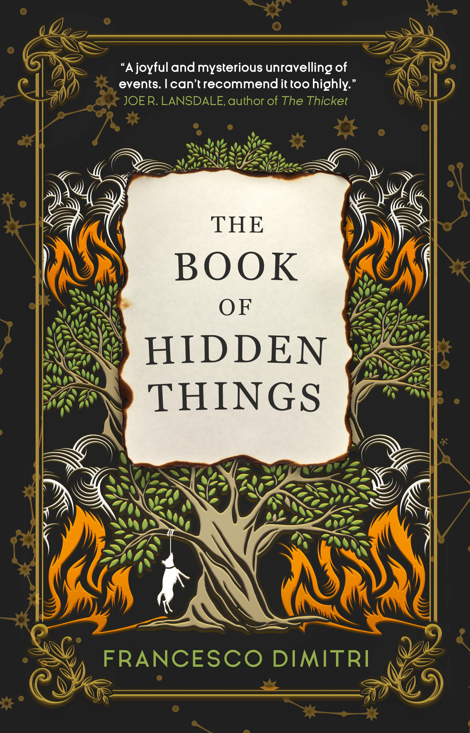 Book of Hidden Things MMPB