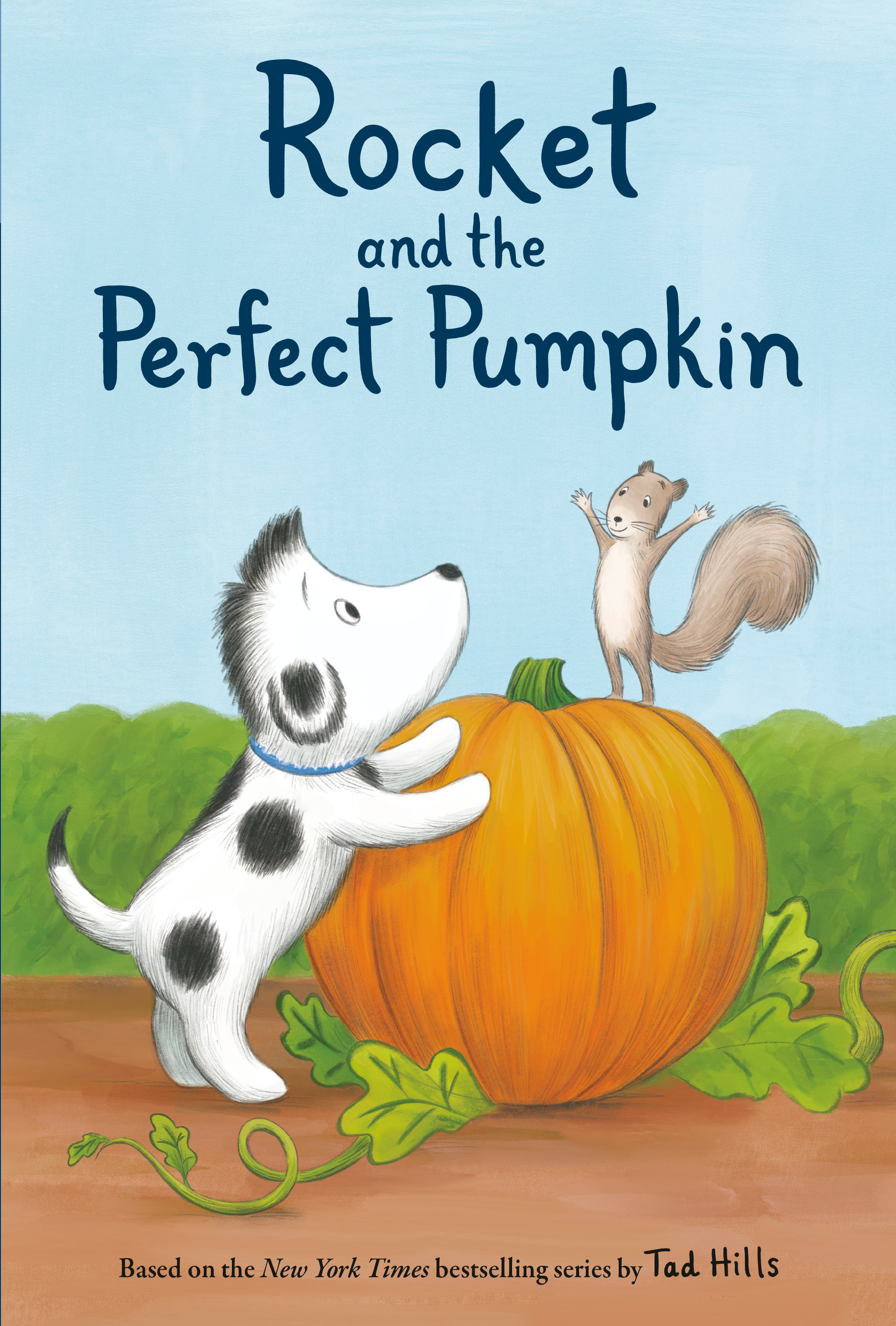 Rocket and the Perfect Pumpkin (Hardcover Book)