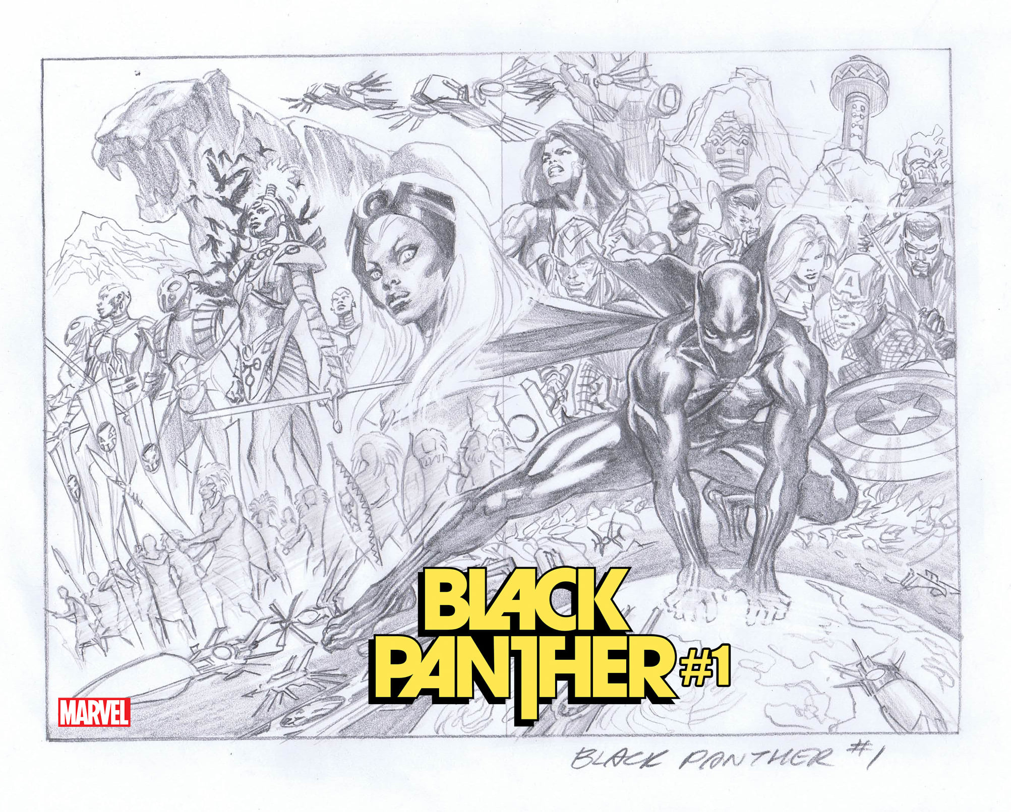 Black Panther #1 2nd Printing Alex Ross Sketch Variant (2022)