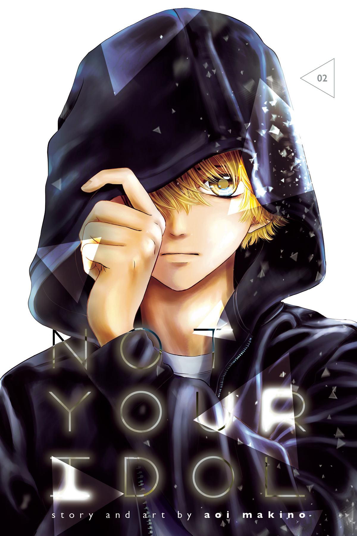 Not Your Idol Manga Volume 2