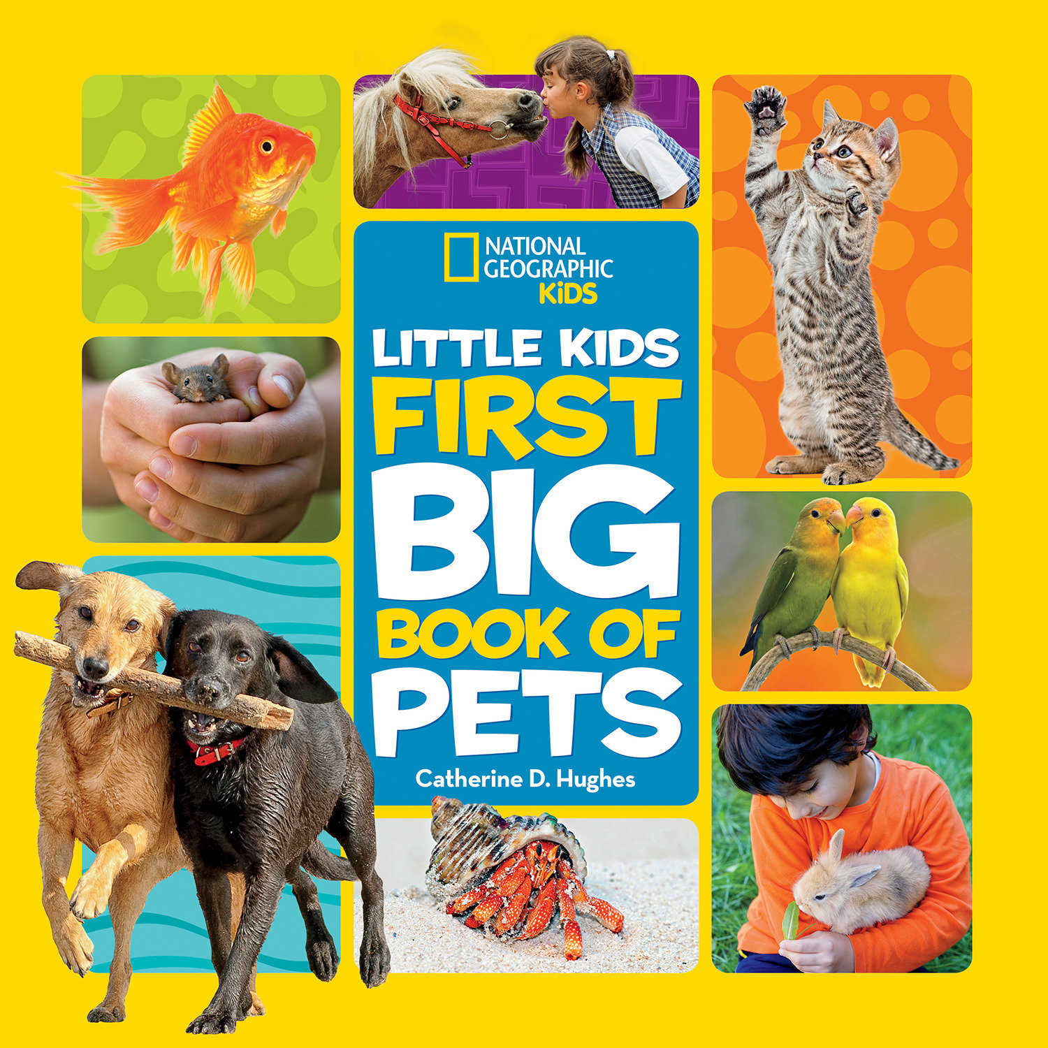 Little Kids First Big Book Of Pets (Hardcover Book)