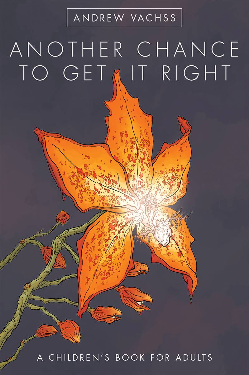Another Chance To Get It Right Hardcover Fourth Edition