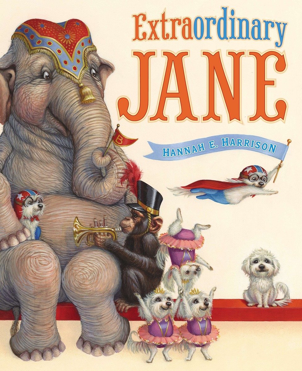 Extraordinary Jane (Hardcover Book)
