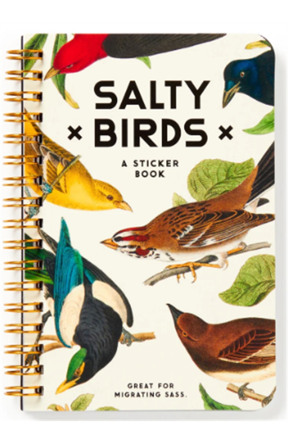 Salty Birds Sticker Book