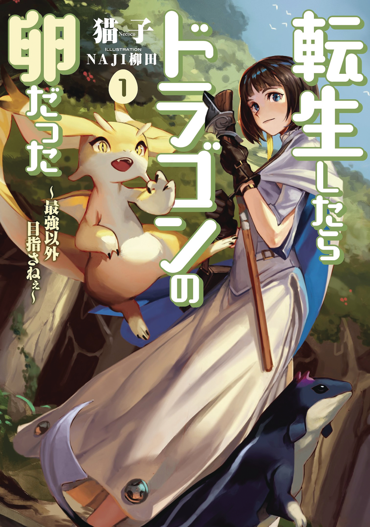 Reincarnated as a Dragon Hatchling Light Novel Volume 1