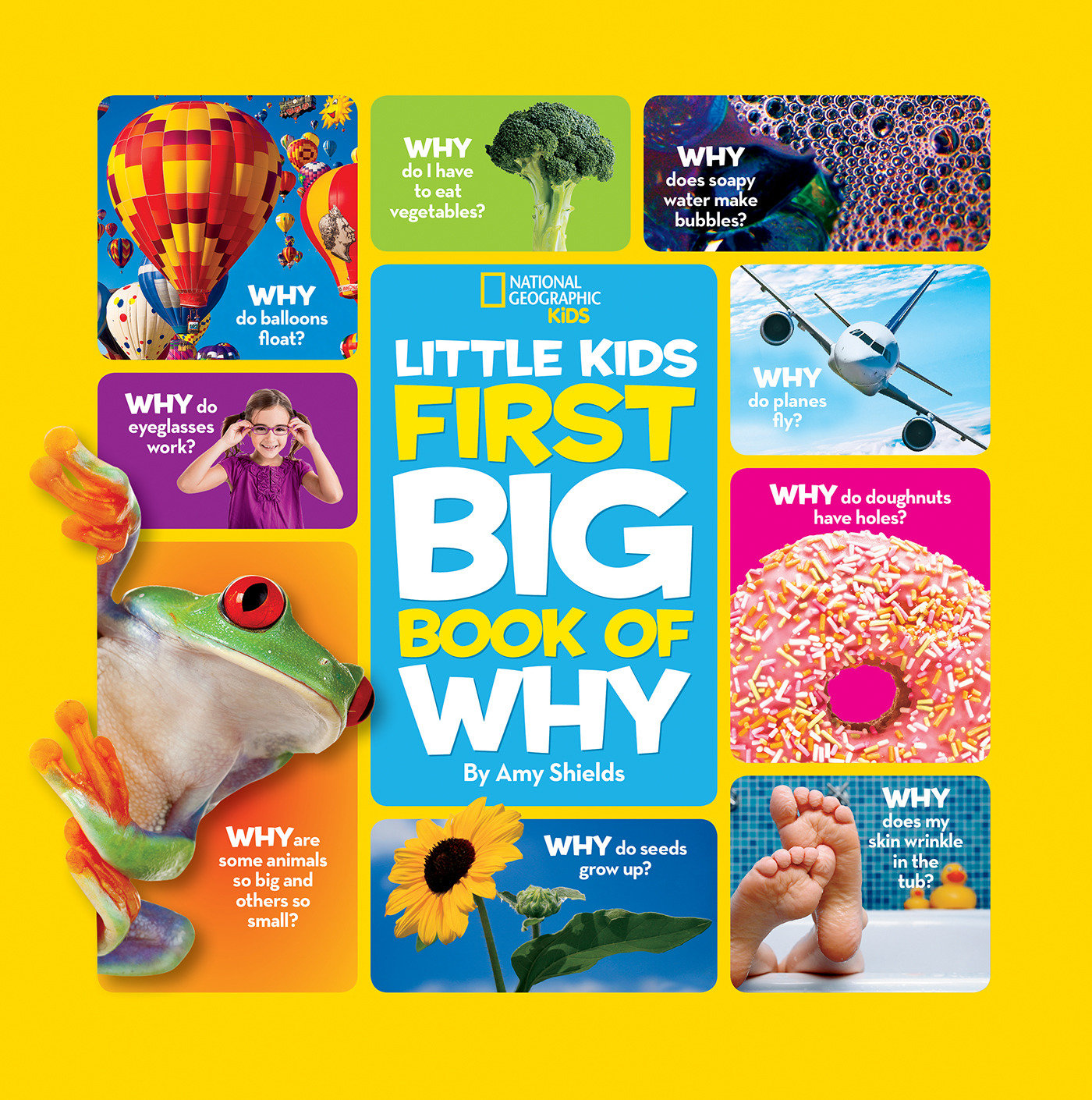 National Geographic Little Kids First Big Book Of Why (Hardcover Book)