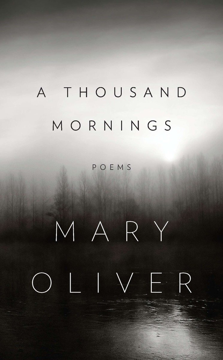 A Thousand Mornings (Hardcover Book)