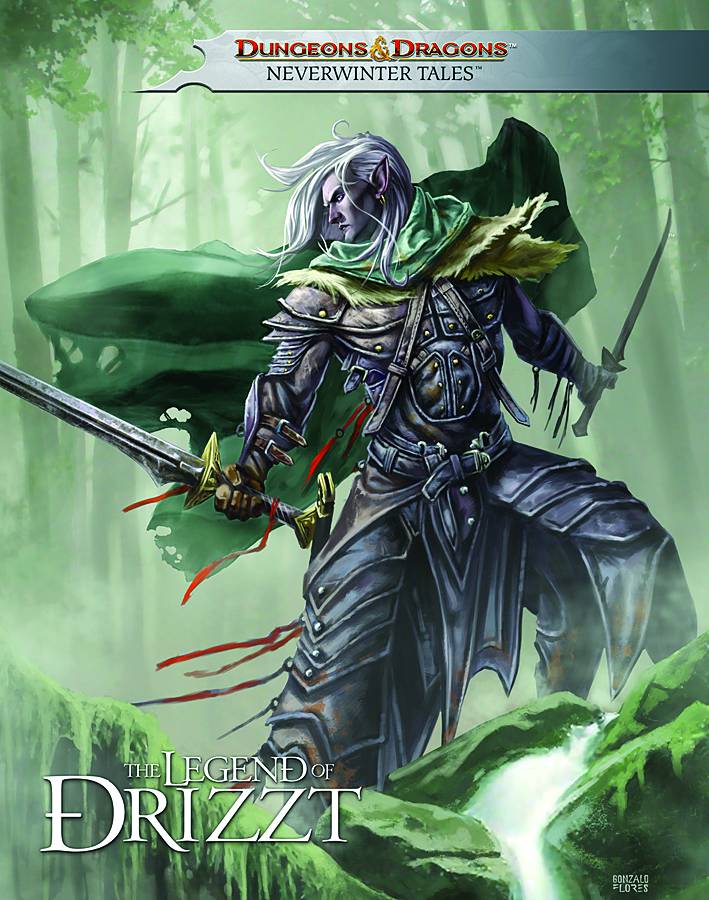 Dungeons & Dragons Drizzt Hardcover Volume 1 Neverwinter