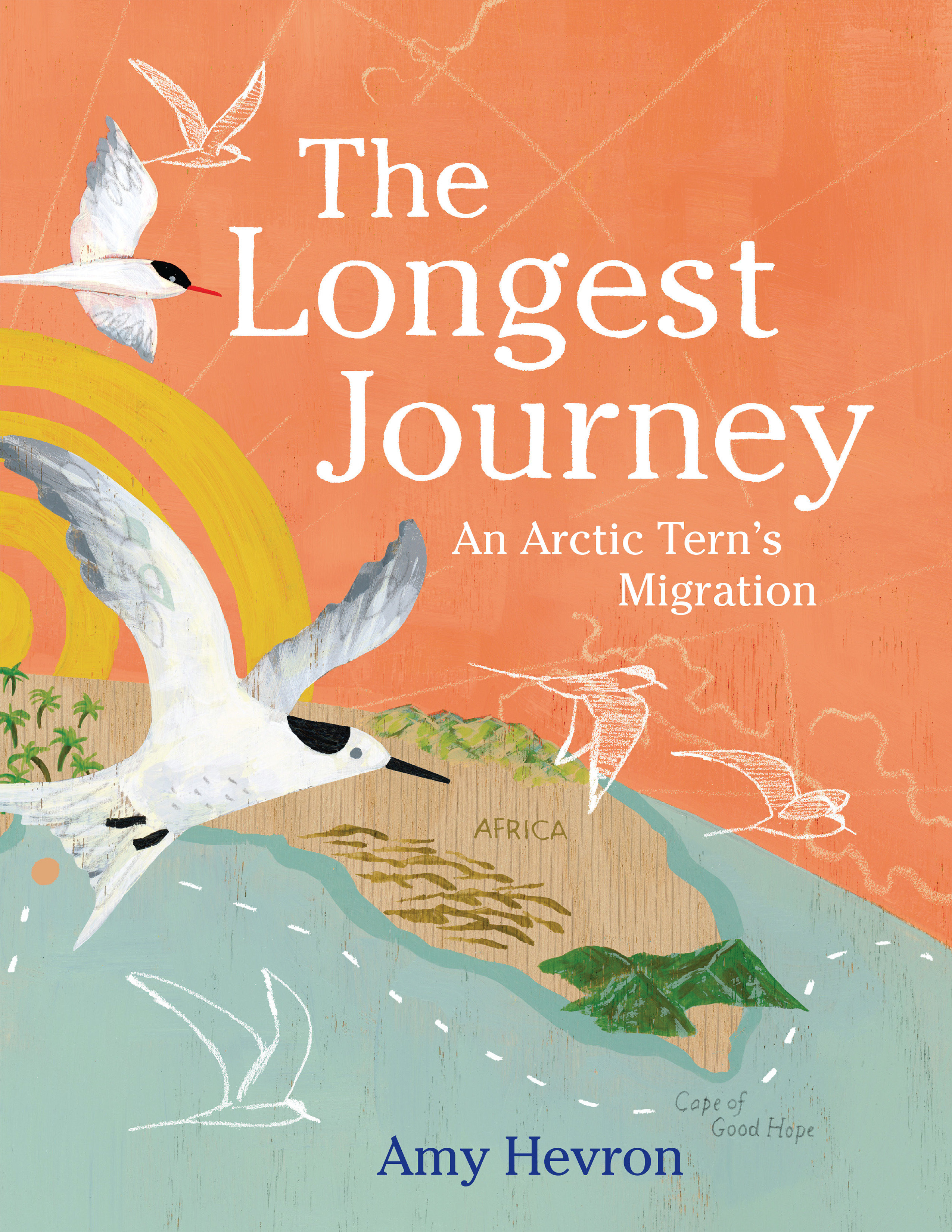 The Longest Journey (Hardcover Book)