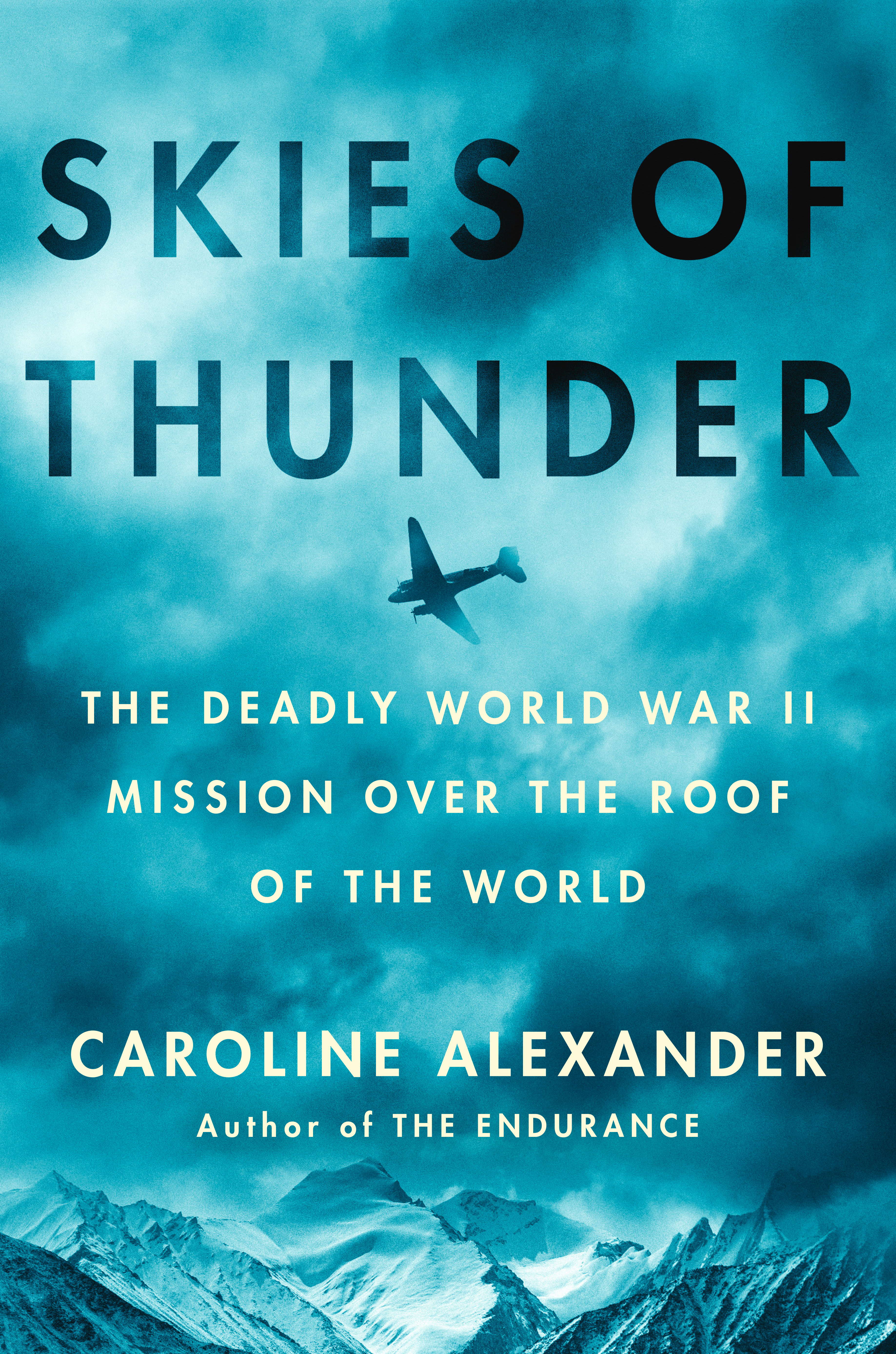 Skies Of Thunder (Hardcover Book)