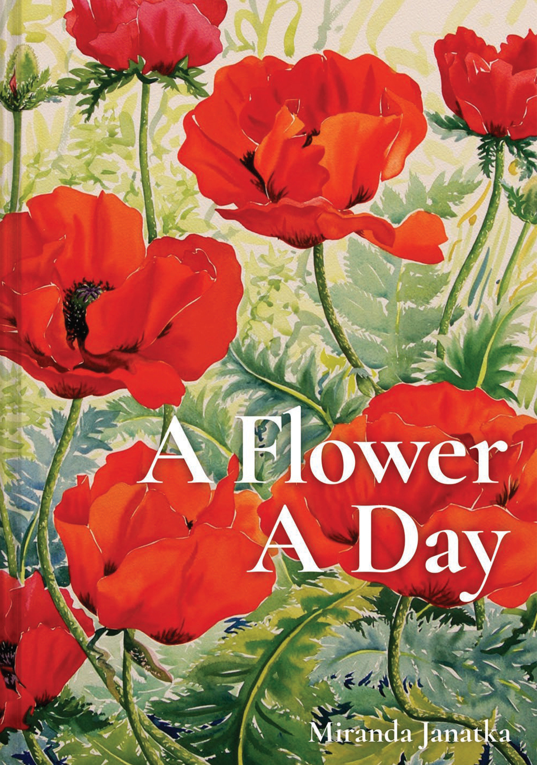 A Flower A Day (Hardcover Book)