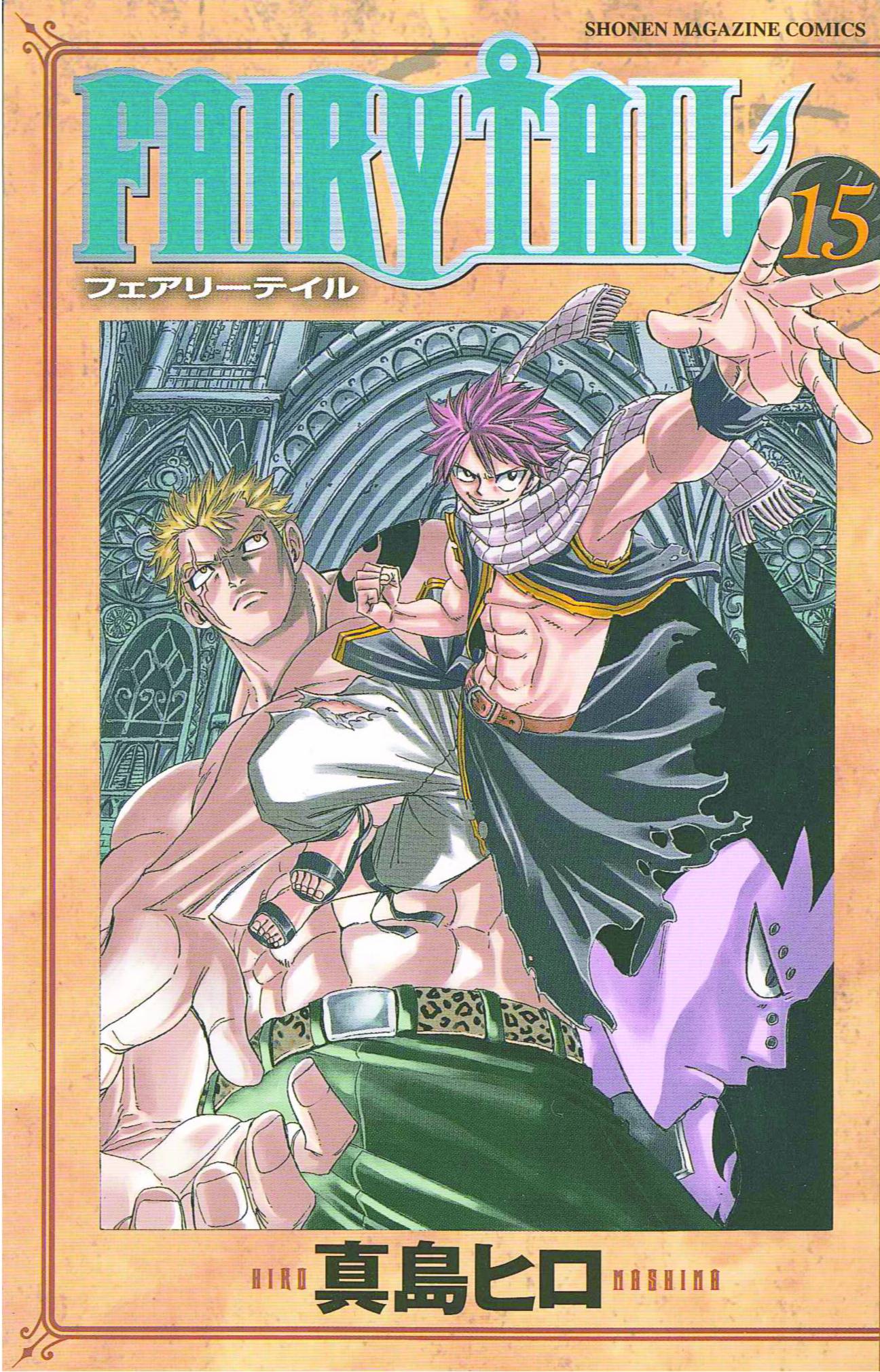 Fairy Tail Manga Volume 15