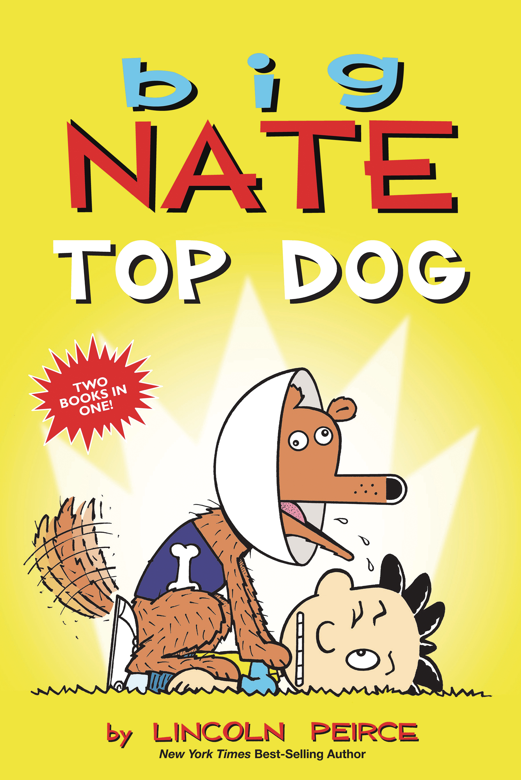 Big Nate Top Dog Graphic Novel