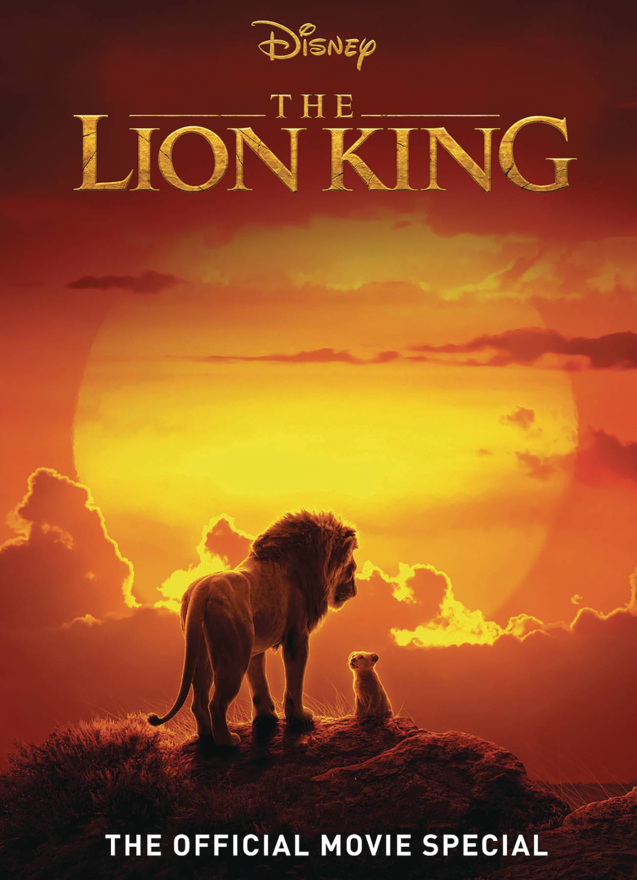 Disney Lion King Off Movie Special Hardcover