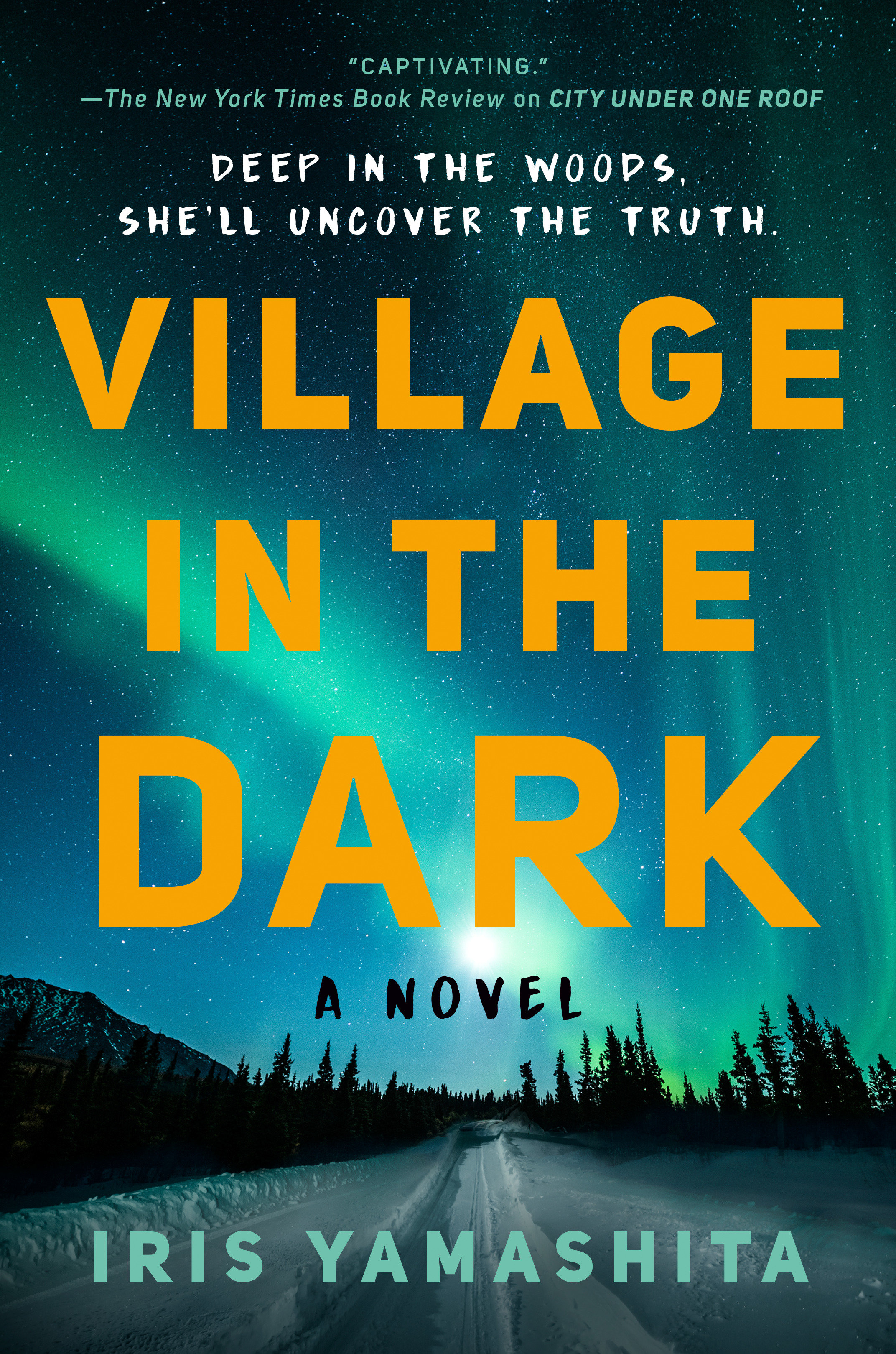 Village In The Dark (Hardcover Book)