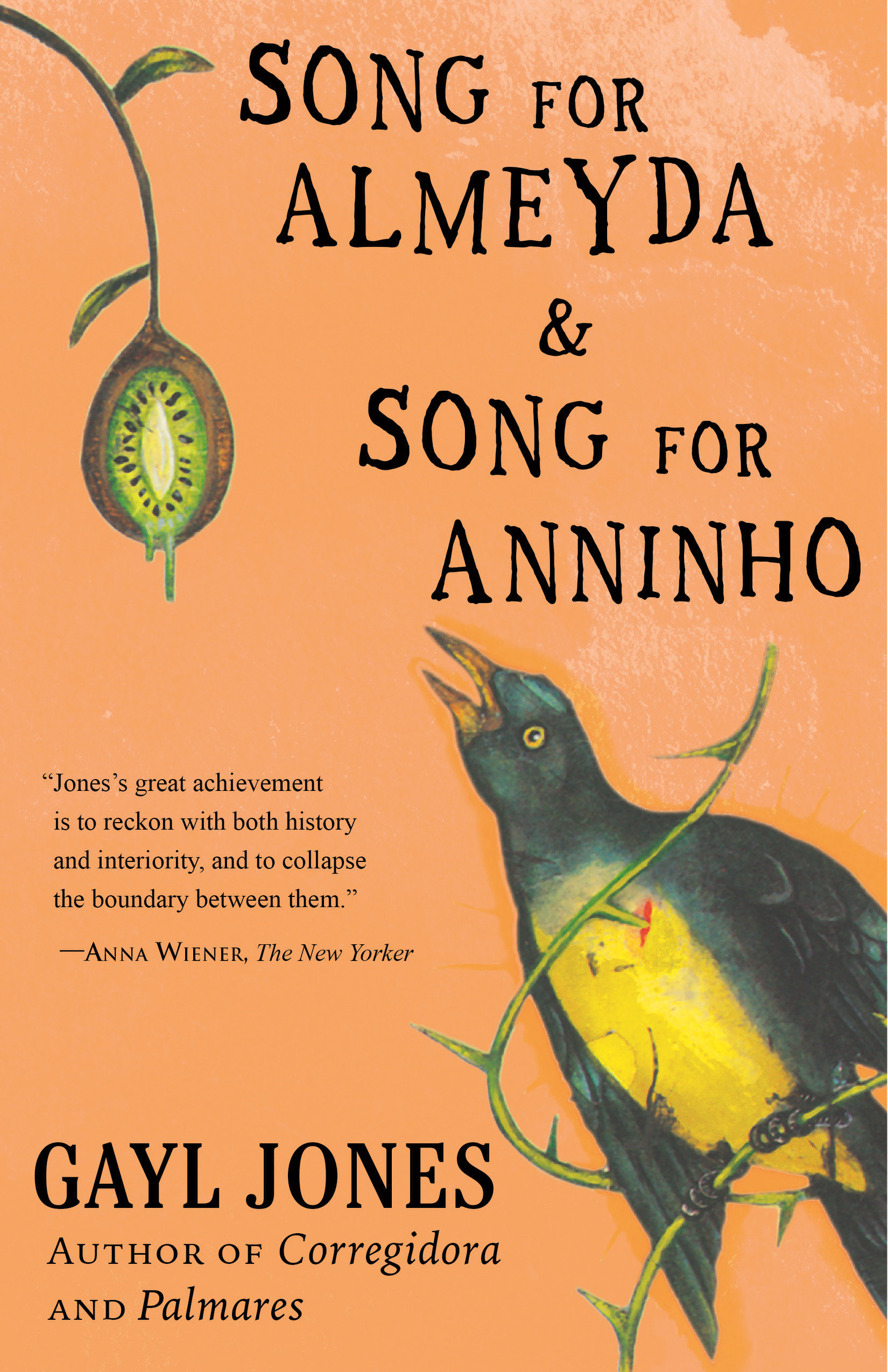 Song for Almeyda And Song for Anninho (Hardcover Book)