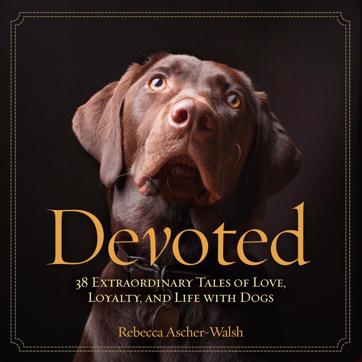 Devoted (Hardcover Book)