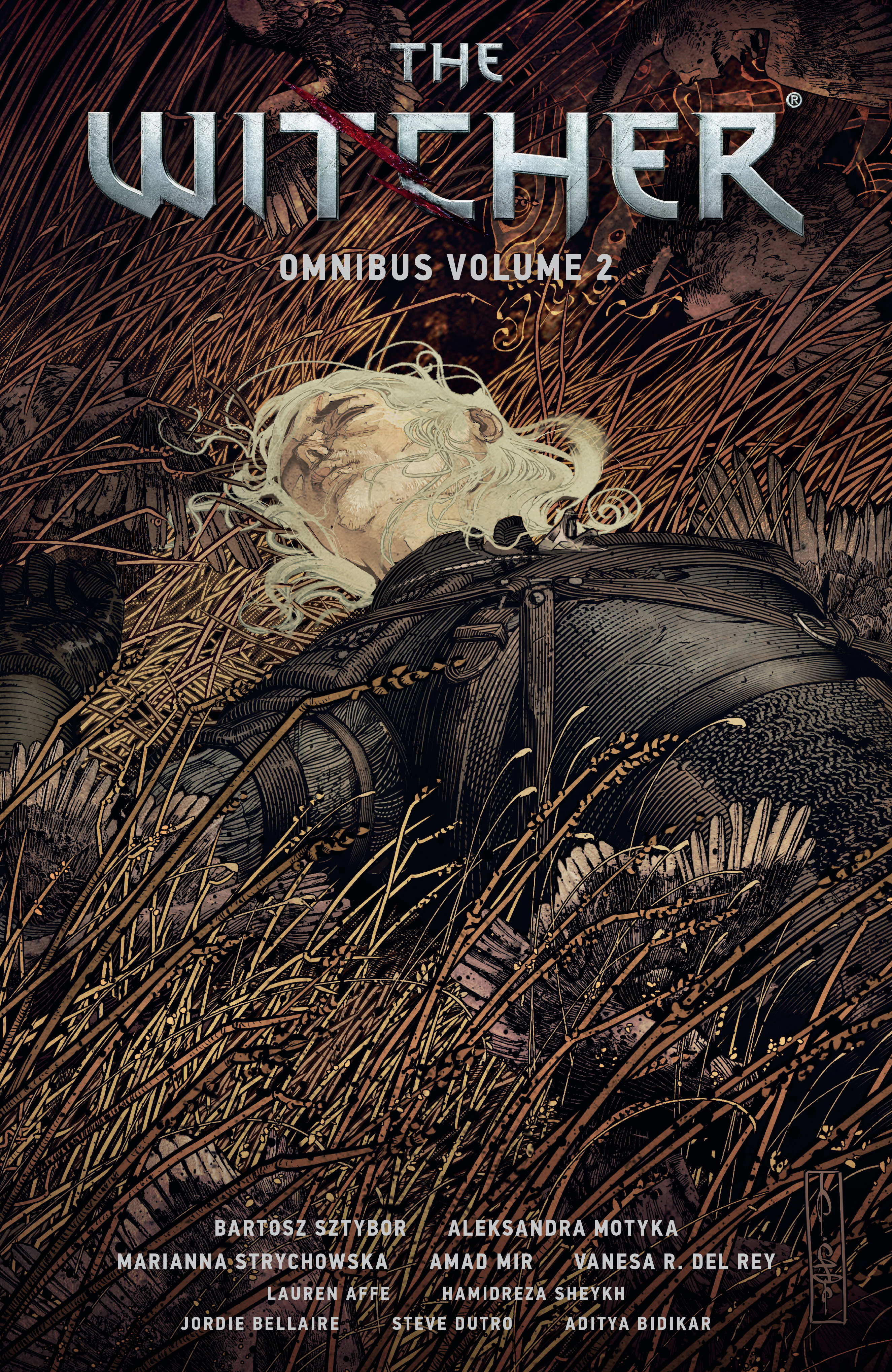 Witcher Omnibus Graphic Novel Volume 2