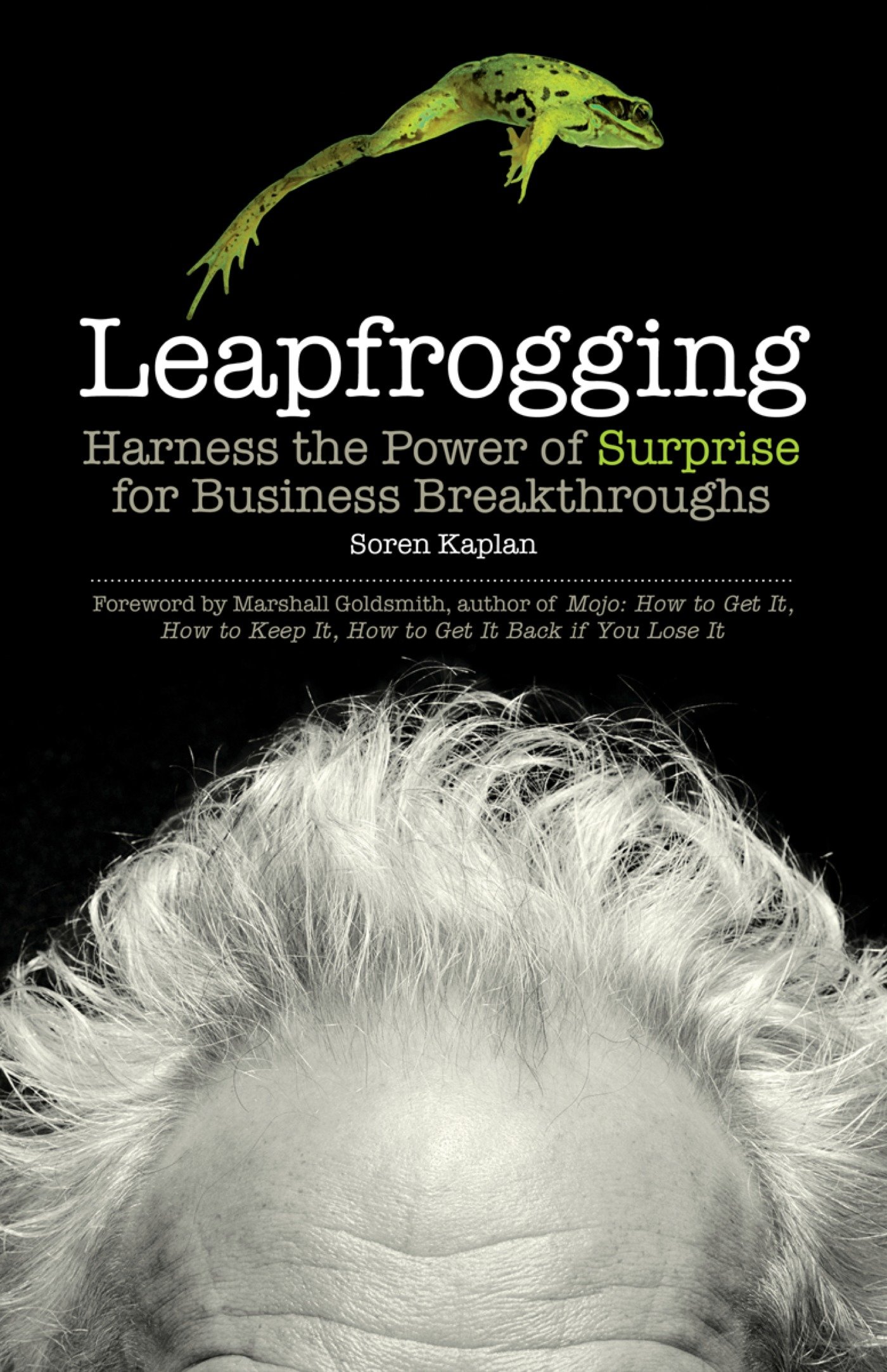 Leapfrogging (Hardcover Book)