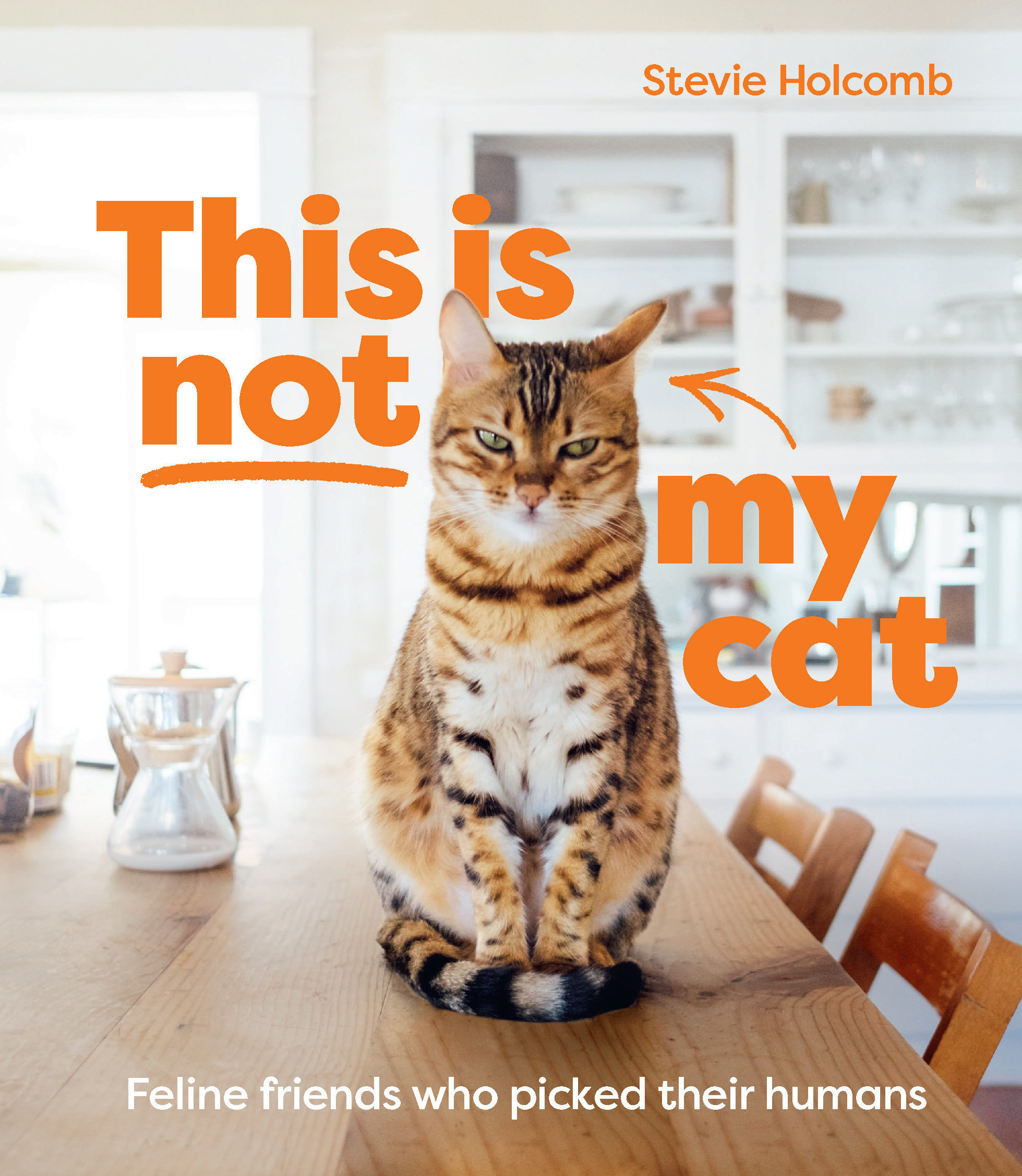 This Is Not My Cat (Hardcover Book)