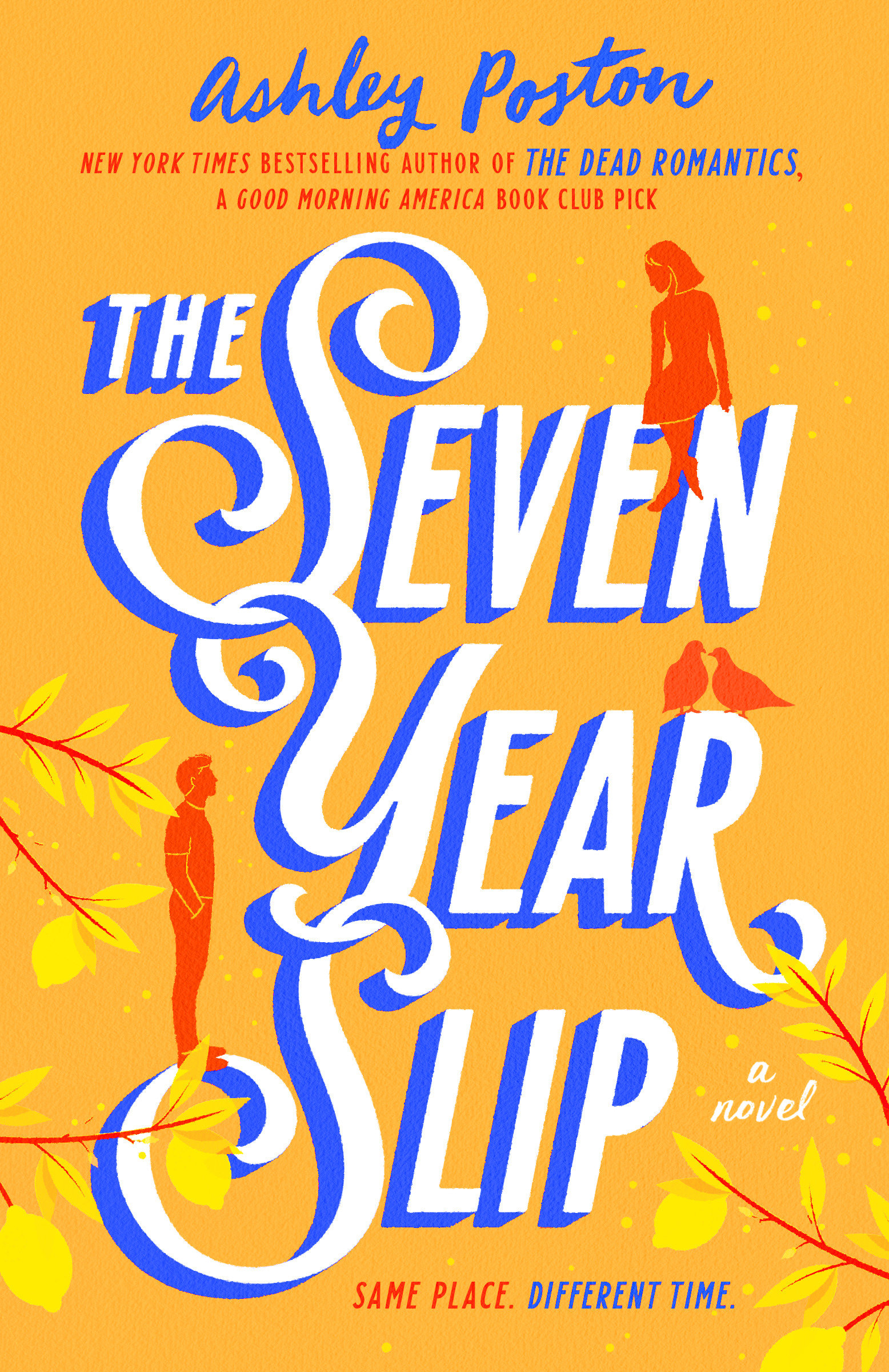 The Seven Year Slip (Hardcover Book)