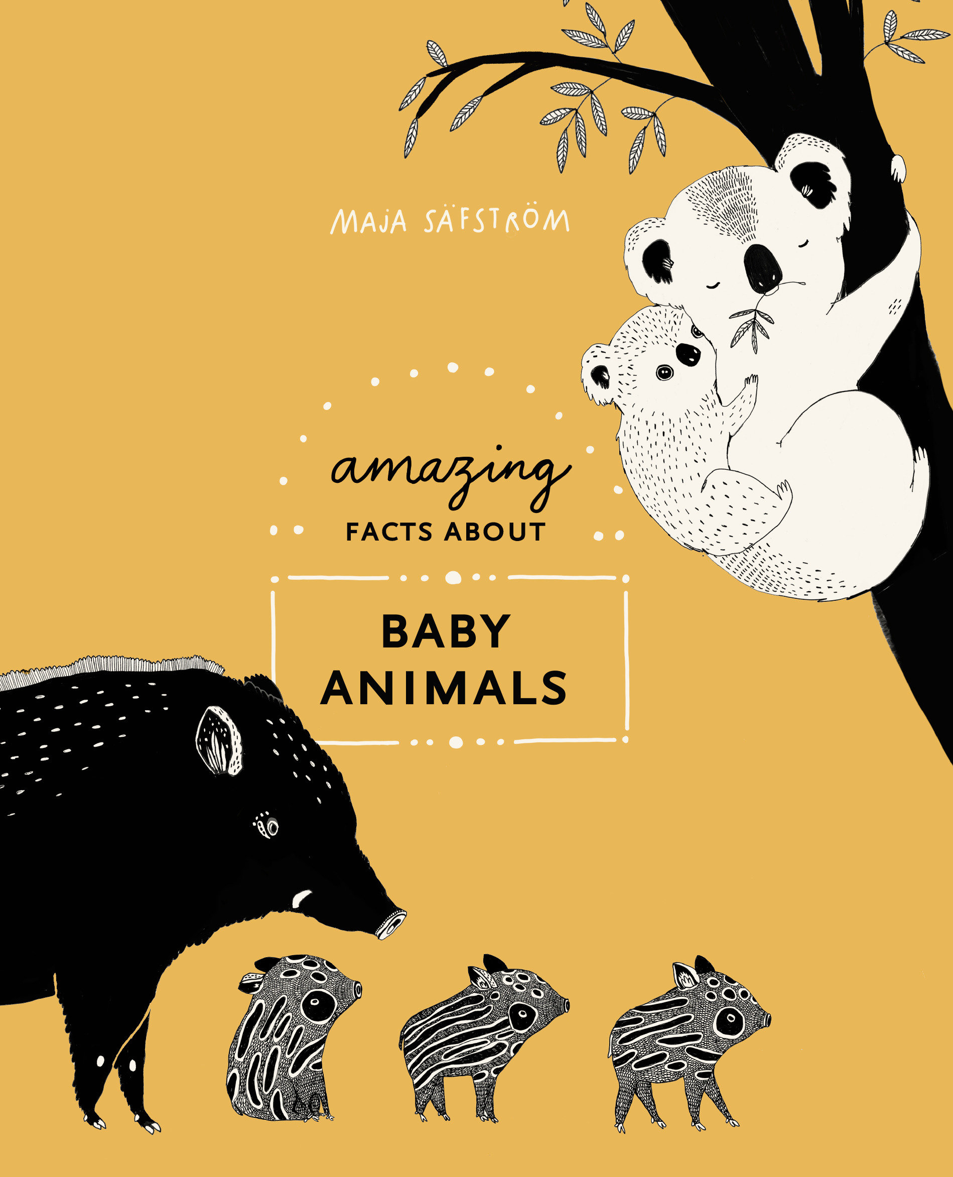 Amazing Facts About Baby Animals (Hardcover Book)