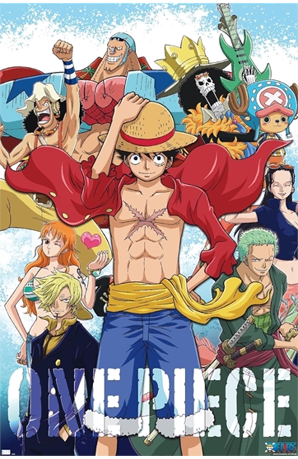 One Piece Luffy And The Pirate Crew Poster