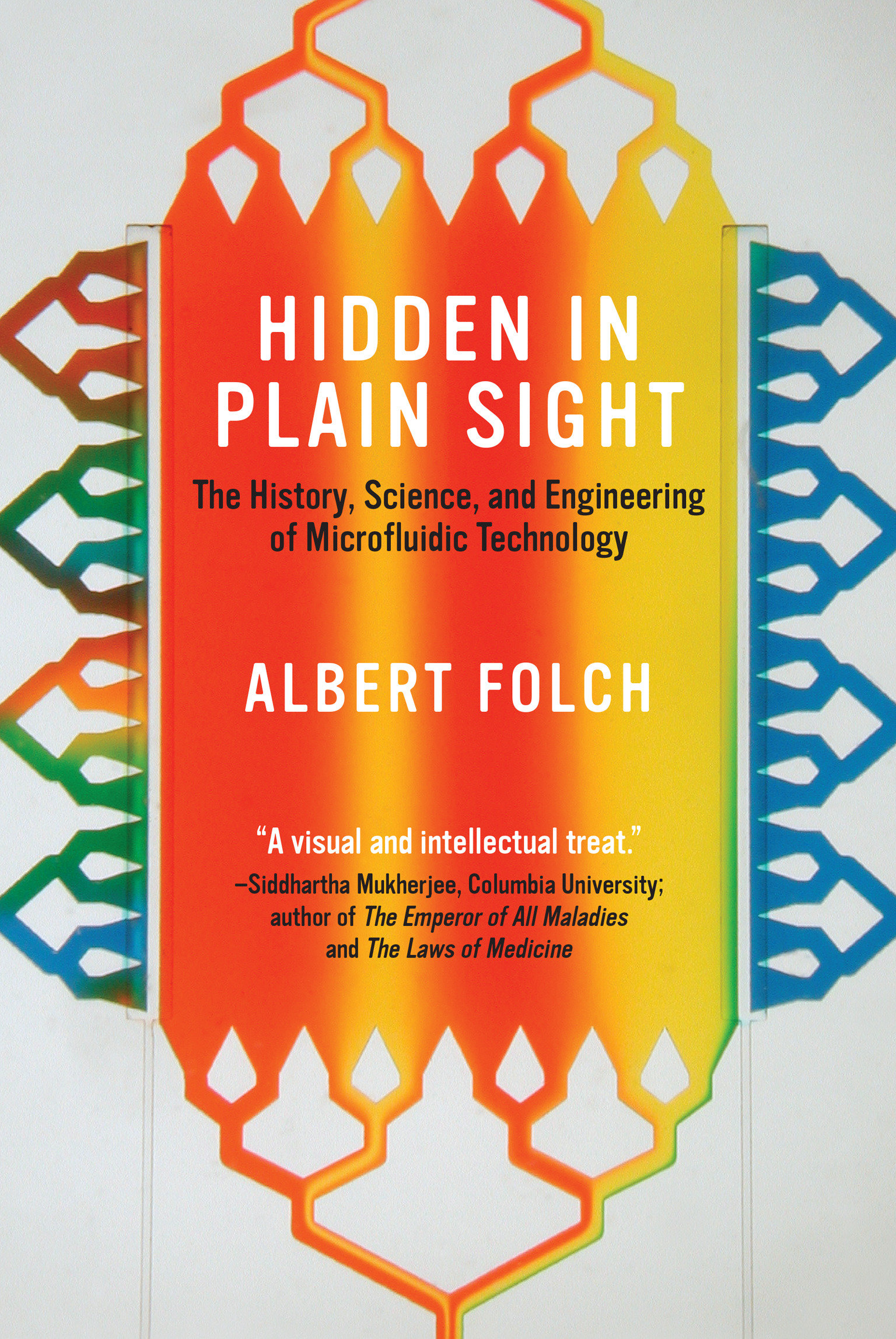 Hidden In Plain Sight (Hardcover Book)