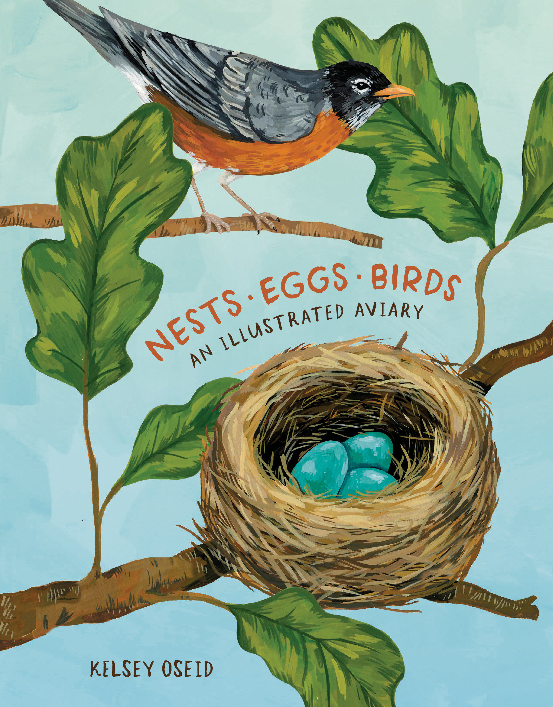 Nests, Eggs, Birds (Hardcover Book)