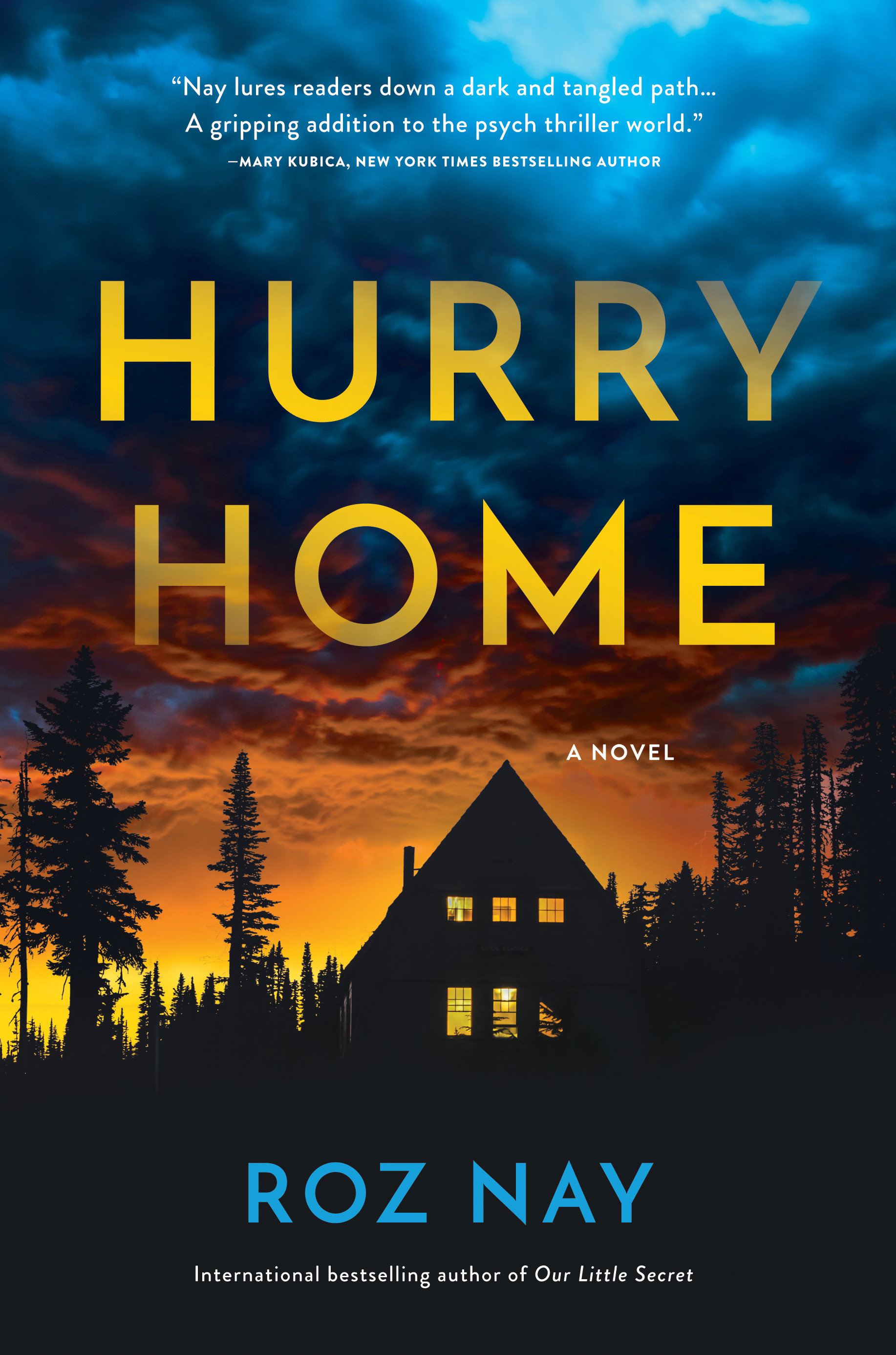 Hurry Home (Hardcover Book)
