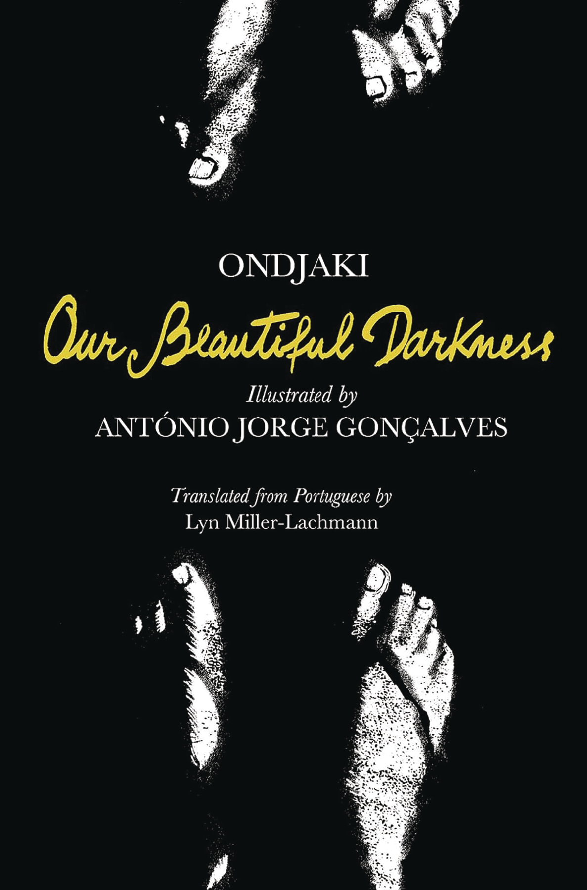 Our Beautiful Darkness Graphic Novel