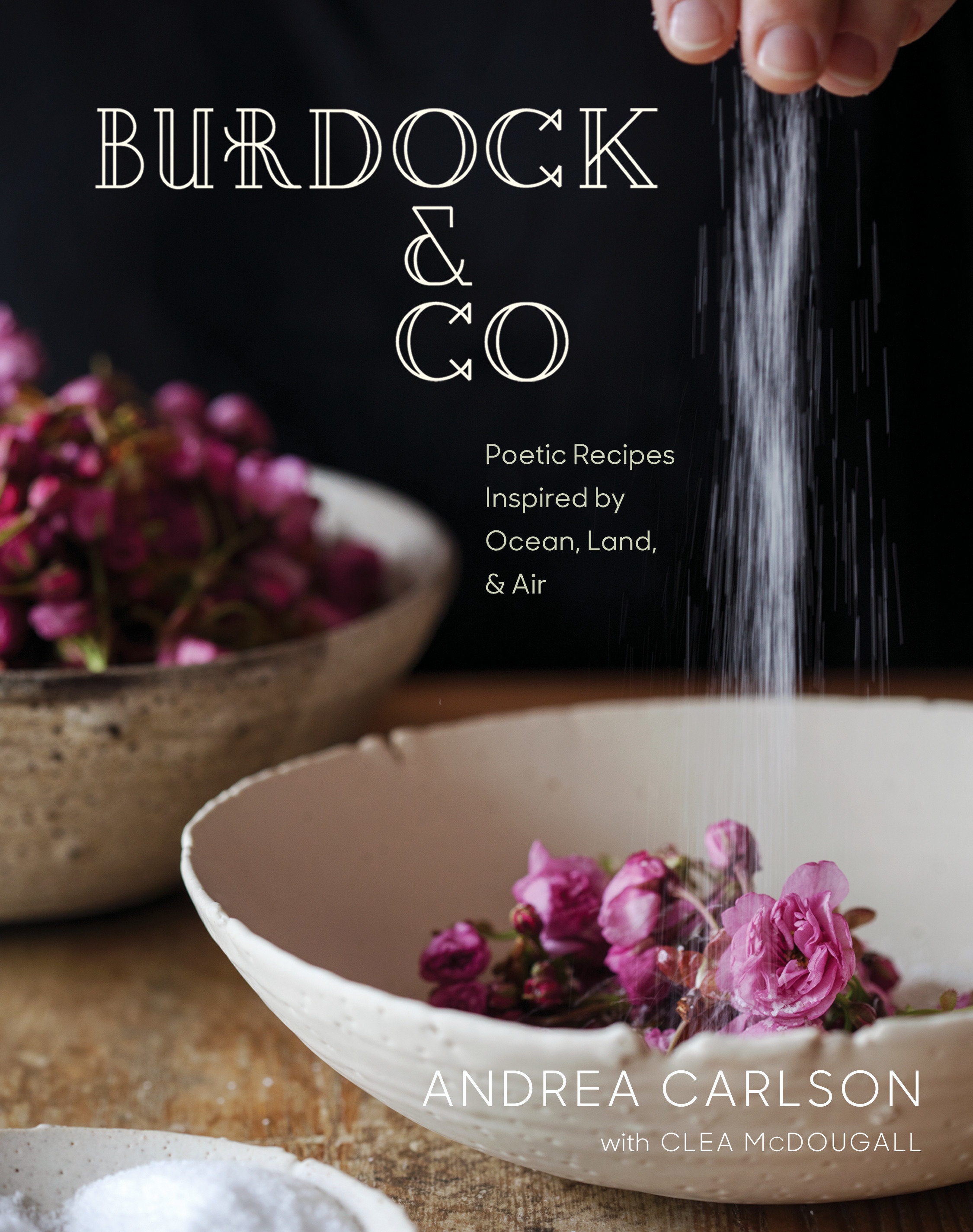 Burdock & Co (Hardcover Book)