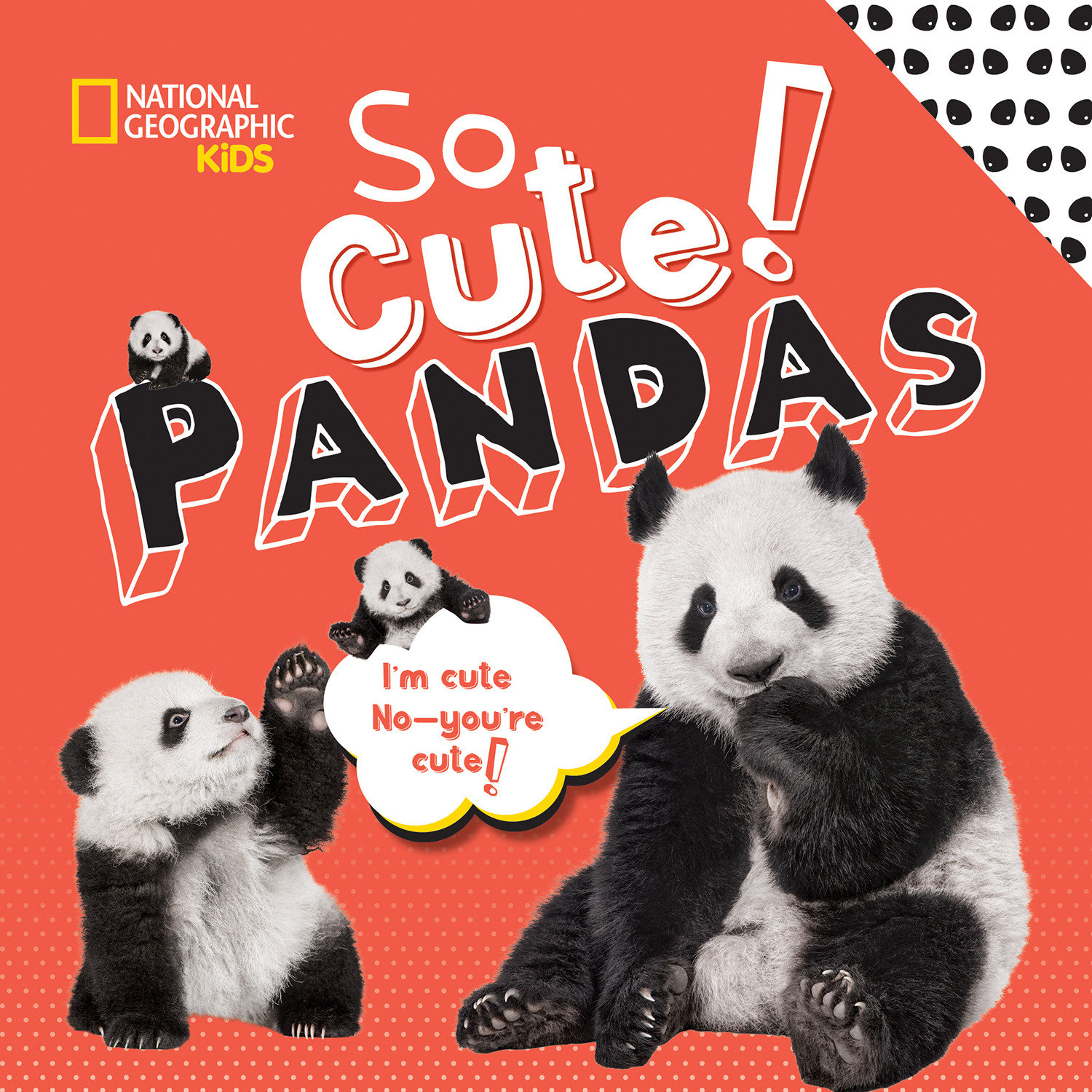 So Cute! Pandas (Hardcover Book)