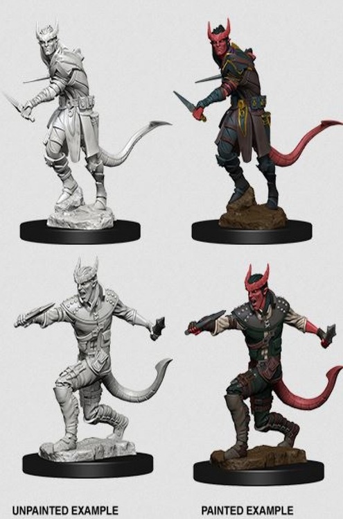 Dungeons & Dragons - Nolzur's Marvelous Miniatures: Tiefling Male Rogue