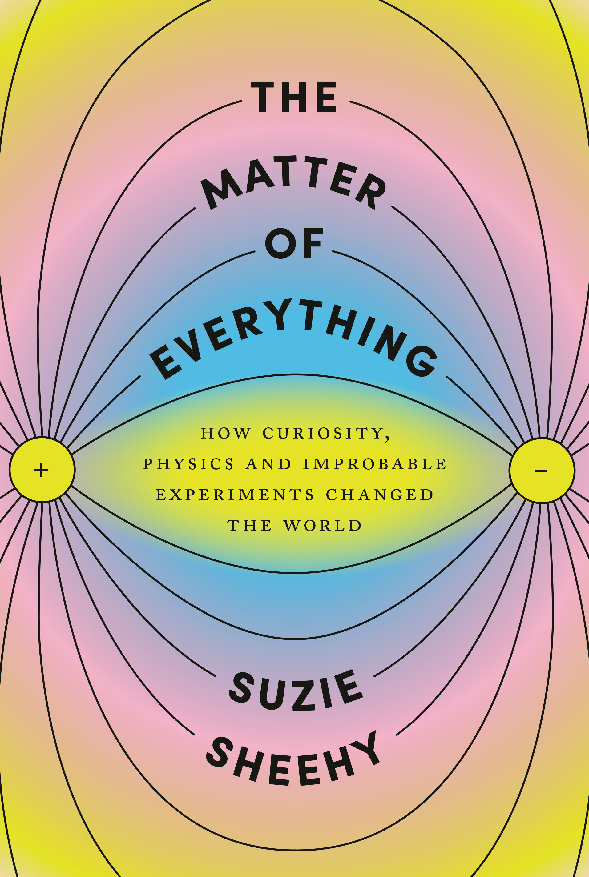 The Matter Of Everything (Hardcover Book)