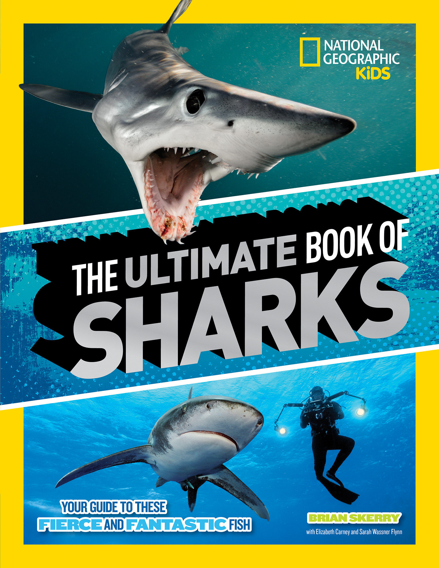 The Ultimate Book Of Sharks (Hardcover Book)