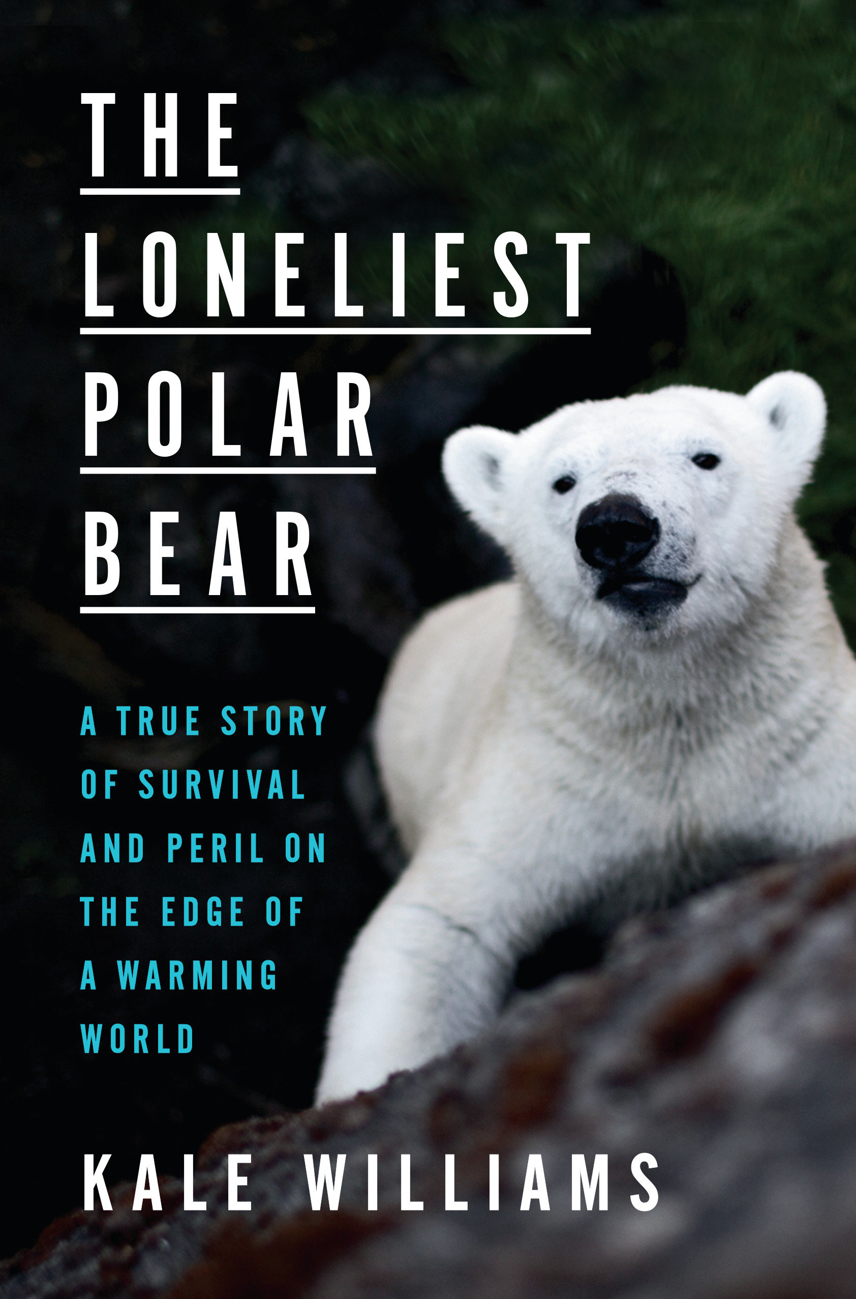 The Loneliest Polar Bear (Hardcover Book)