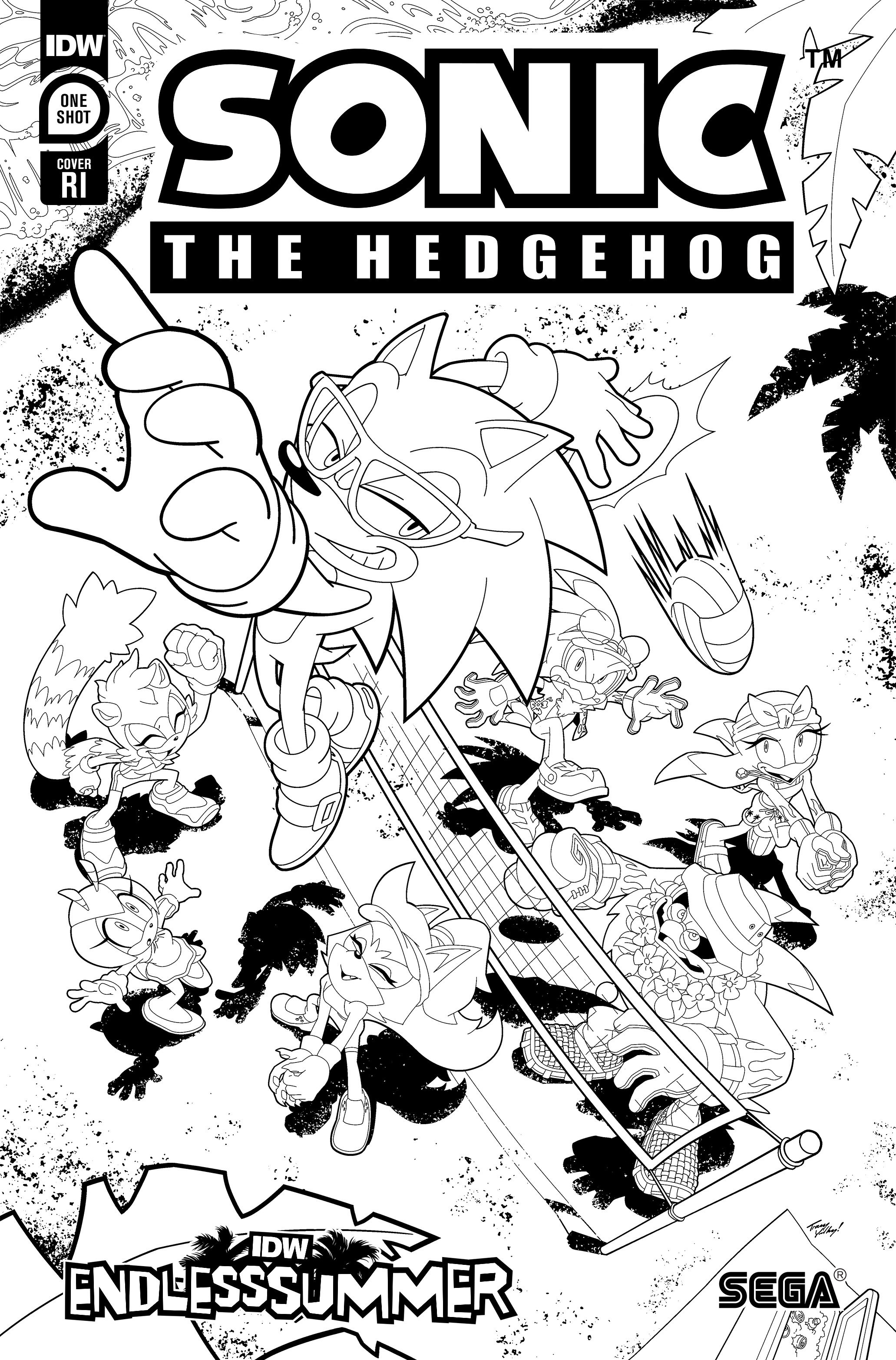 IDW Endless Summer—Sonic the Hedgehog Cover Retailer Incentive Coloring Book 1 for 10 Incentive