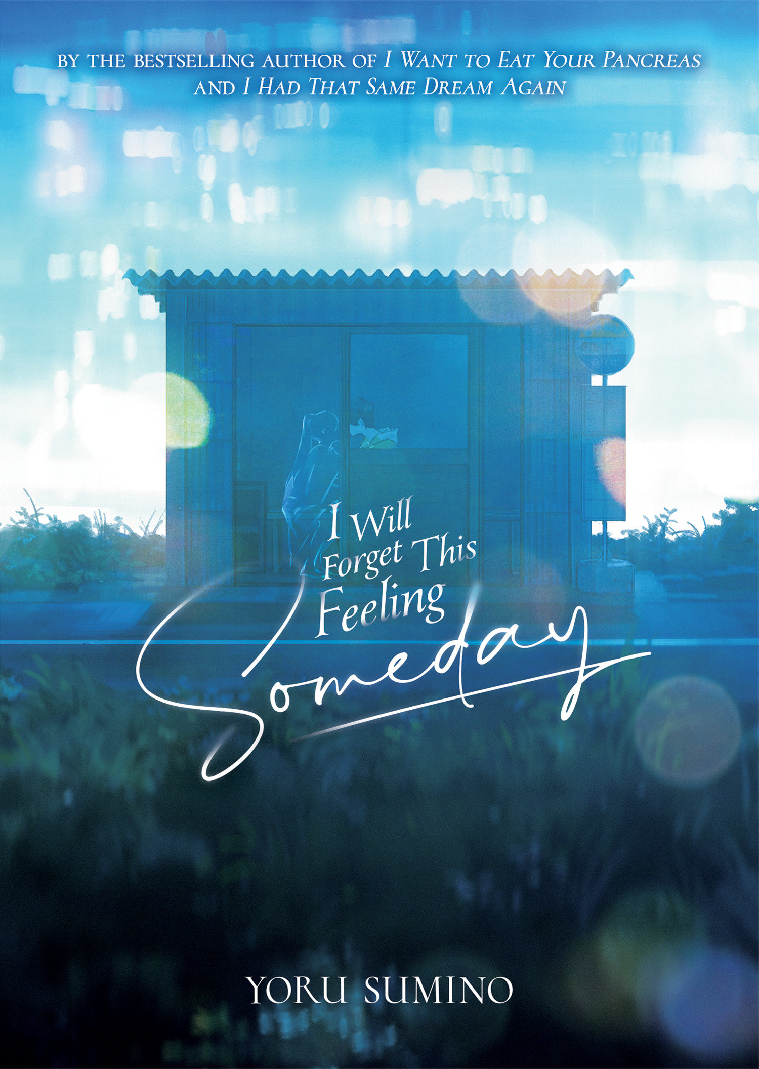 I Will Forget This Feeling Someday Soft Cover Novel Volume 1