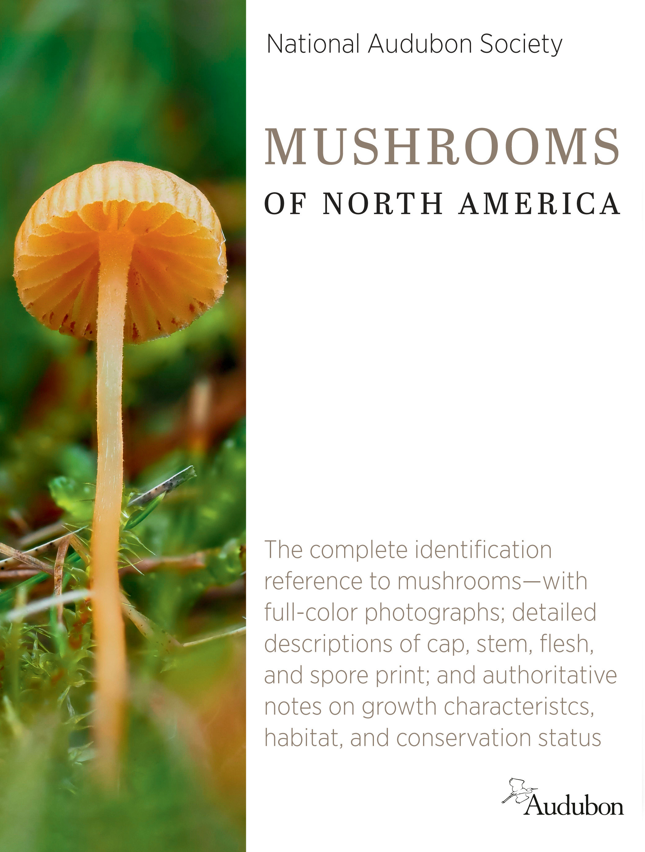 National Audubon Society Mushrooms Of North America (Hardcover Book)