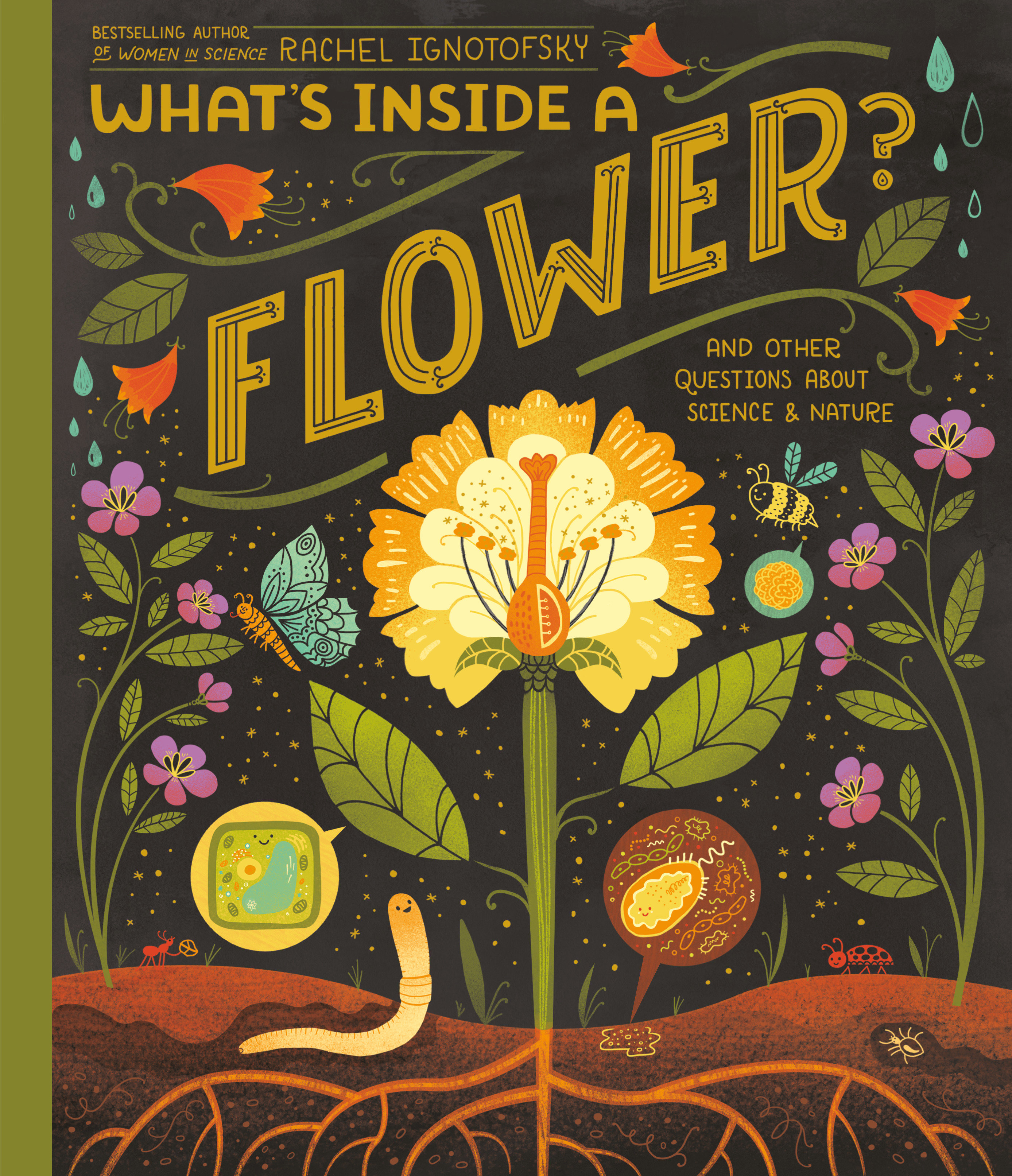 What'S Inside A Flower? (Hardcover Book)
