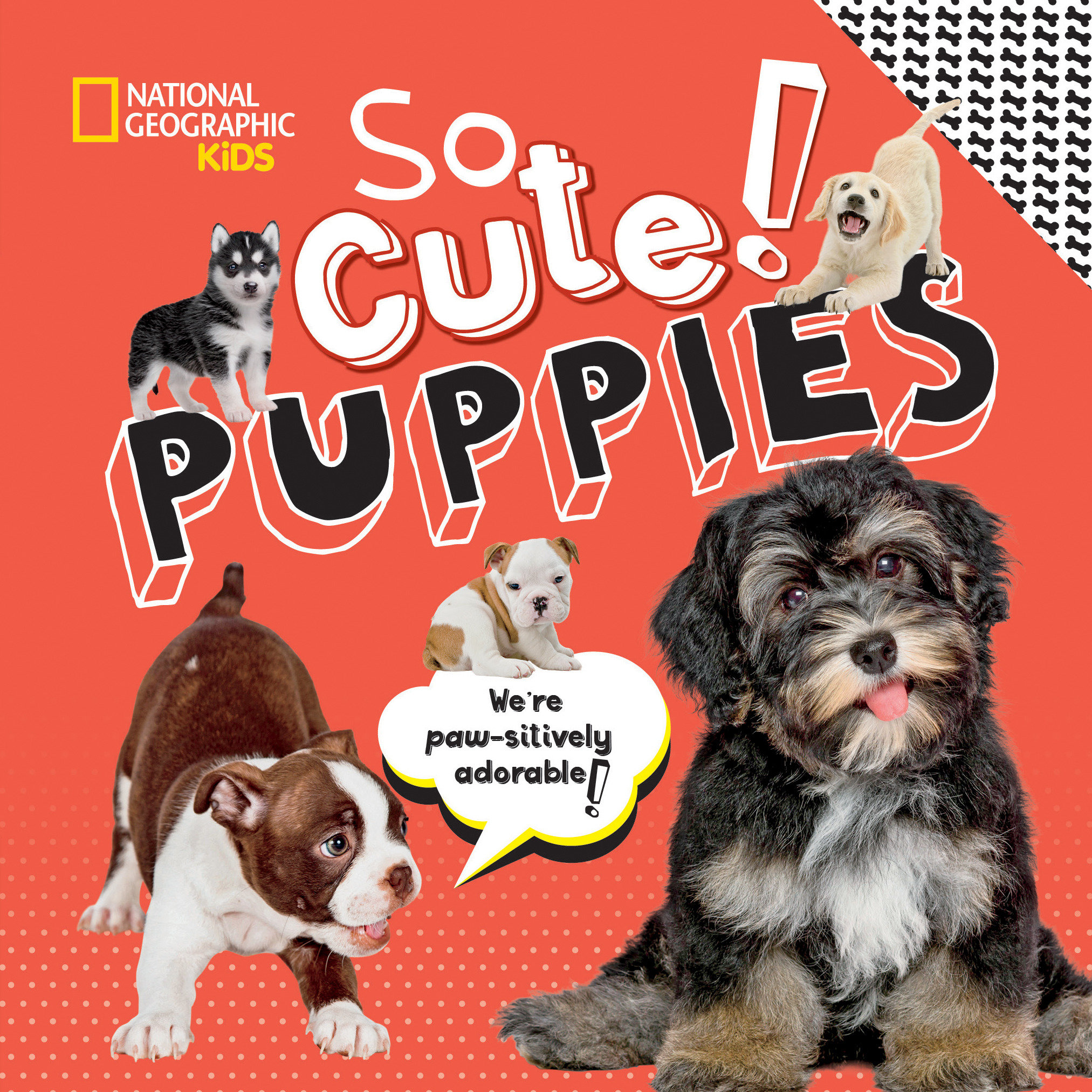 So Cute! Puppies (Hardcover Book)