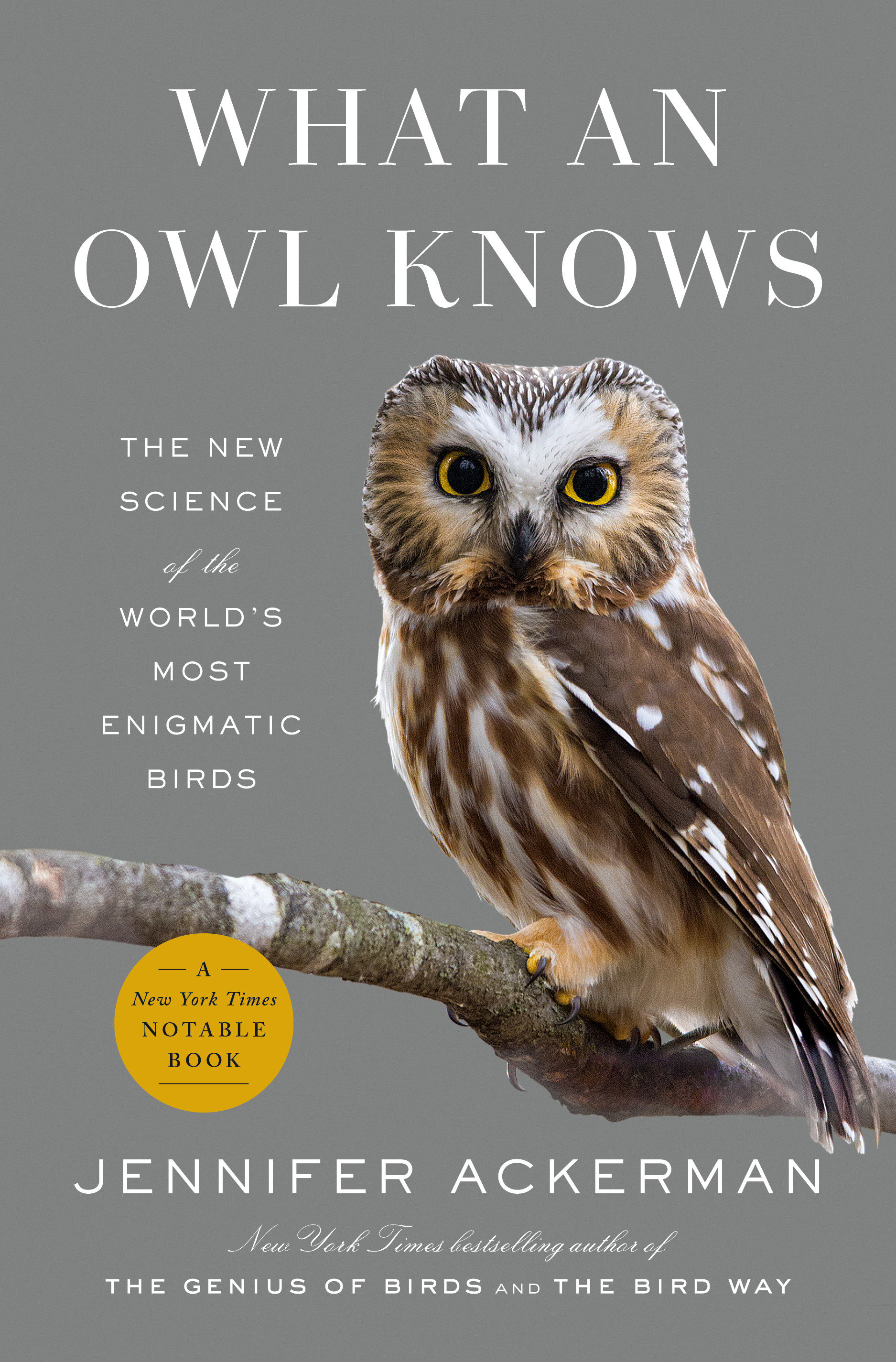 What An Owl Knows (Hardcover Book)