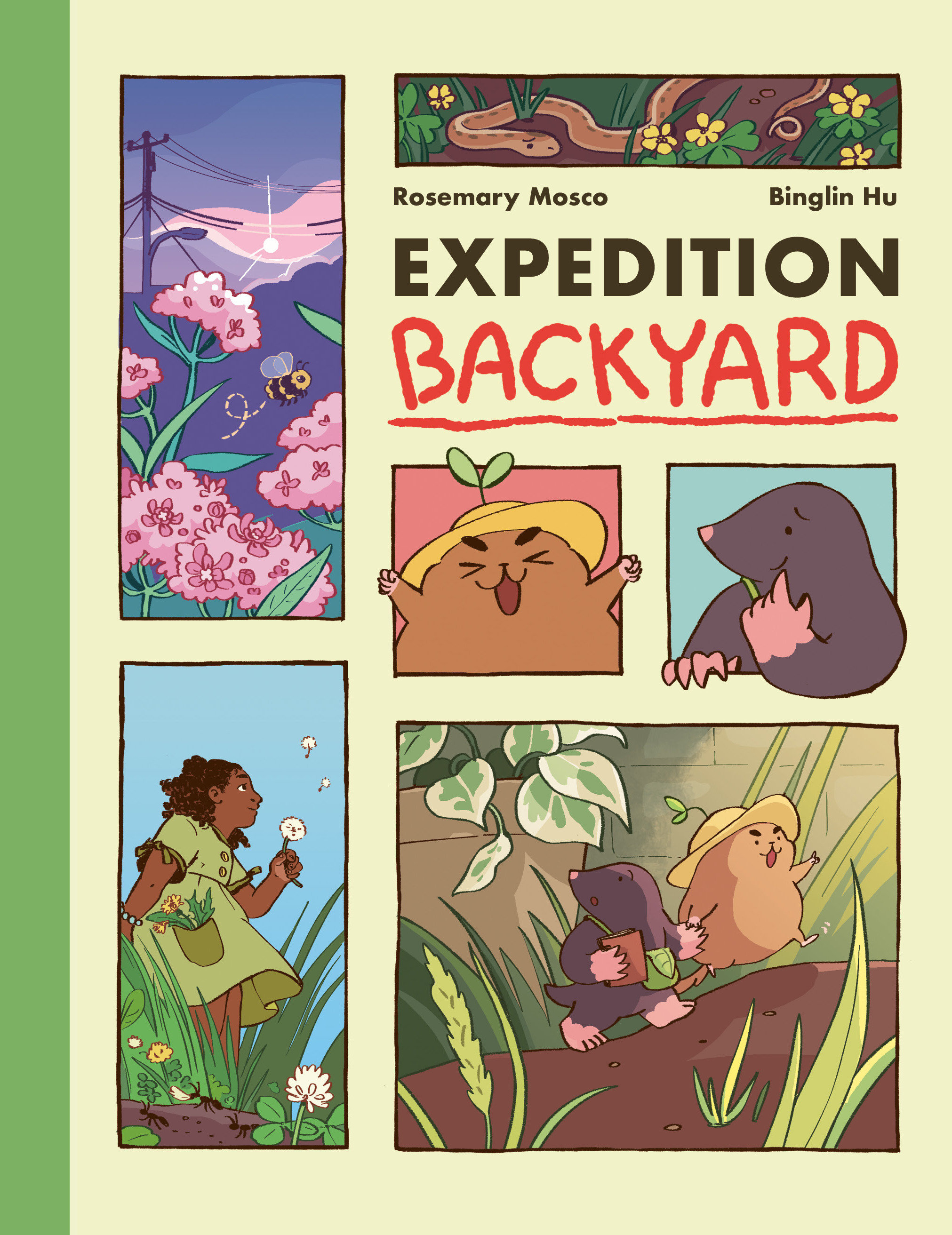 Expedition Backyard Graphic Novel