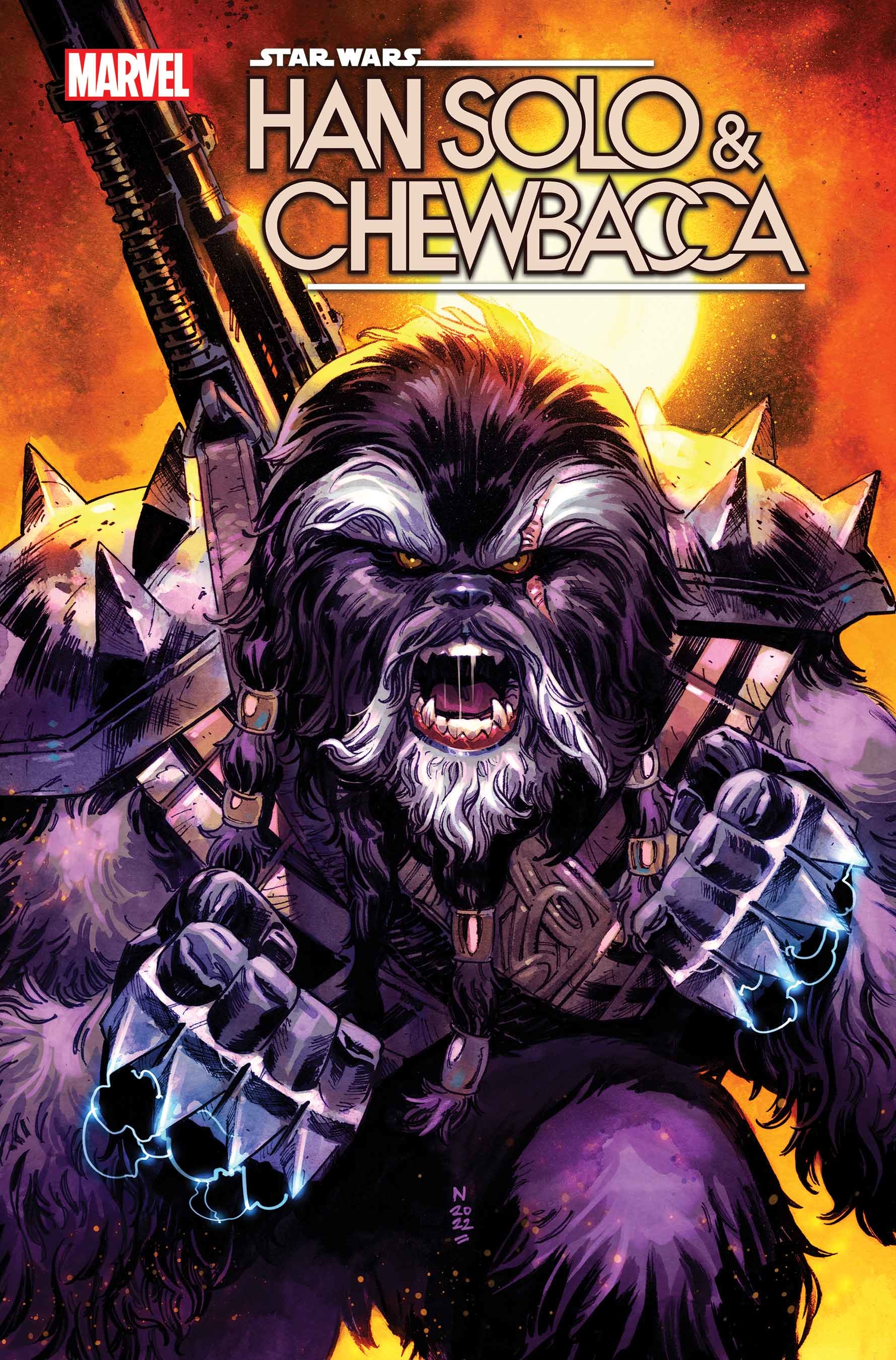 Star Wars Han Solo & Chewbacca #4 1 for 25 Incentive Klein Variant