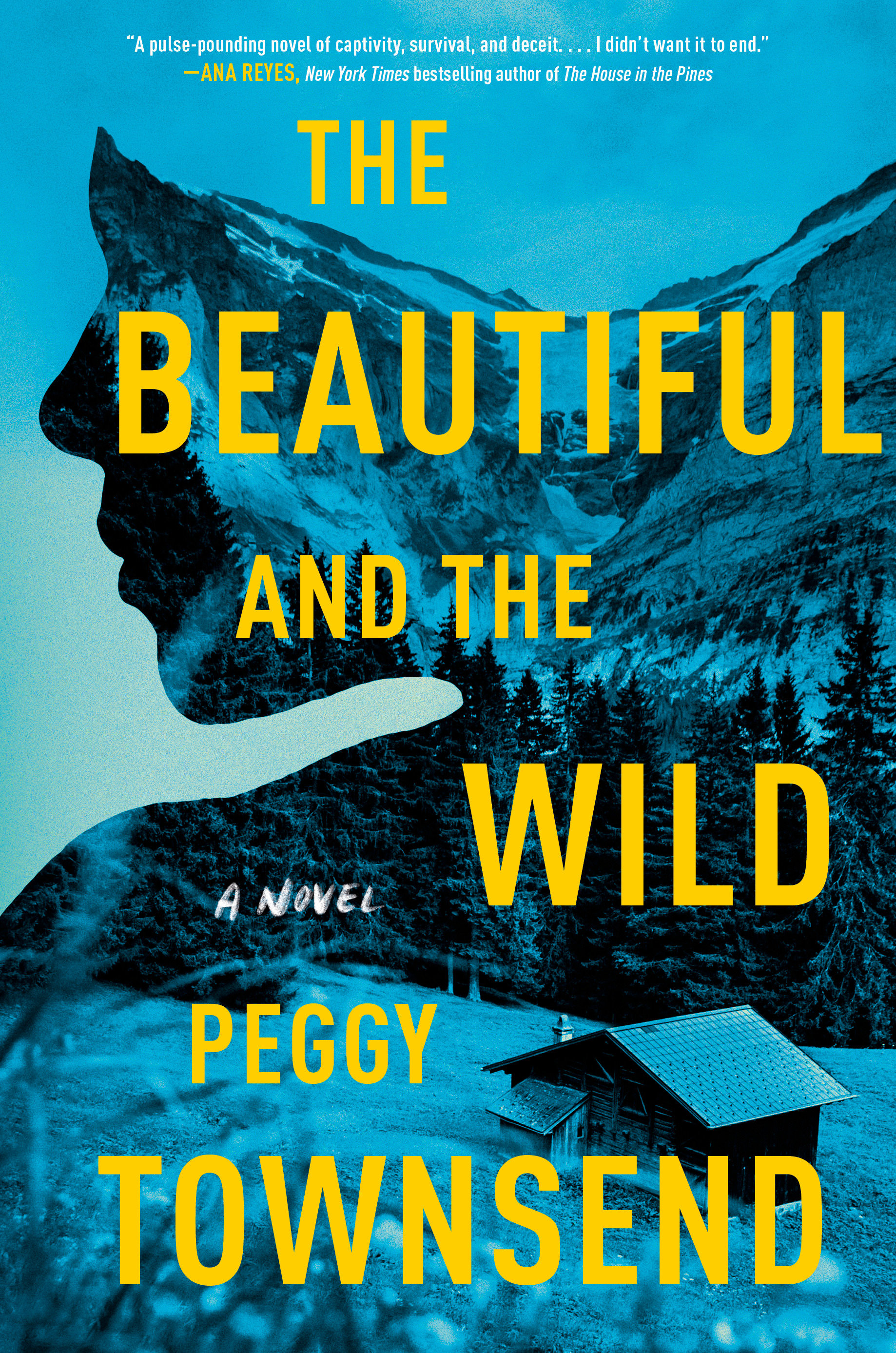 The Beautiful and the Wild (Hardcover Book)
