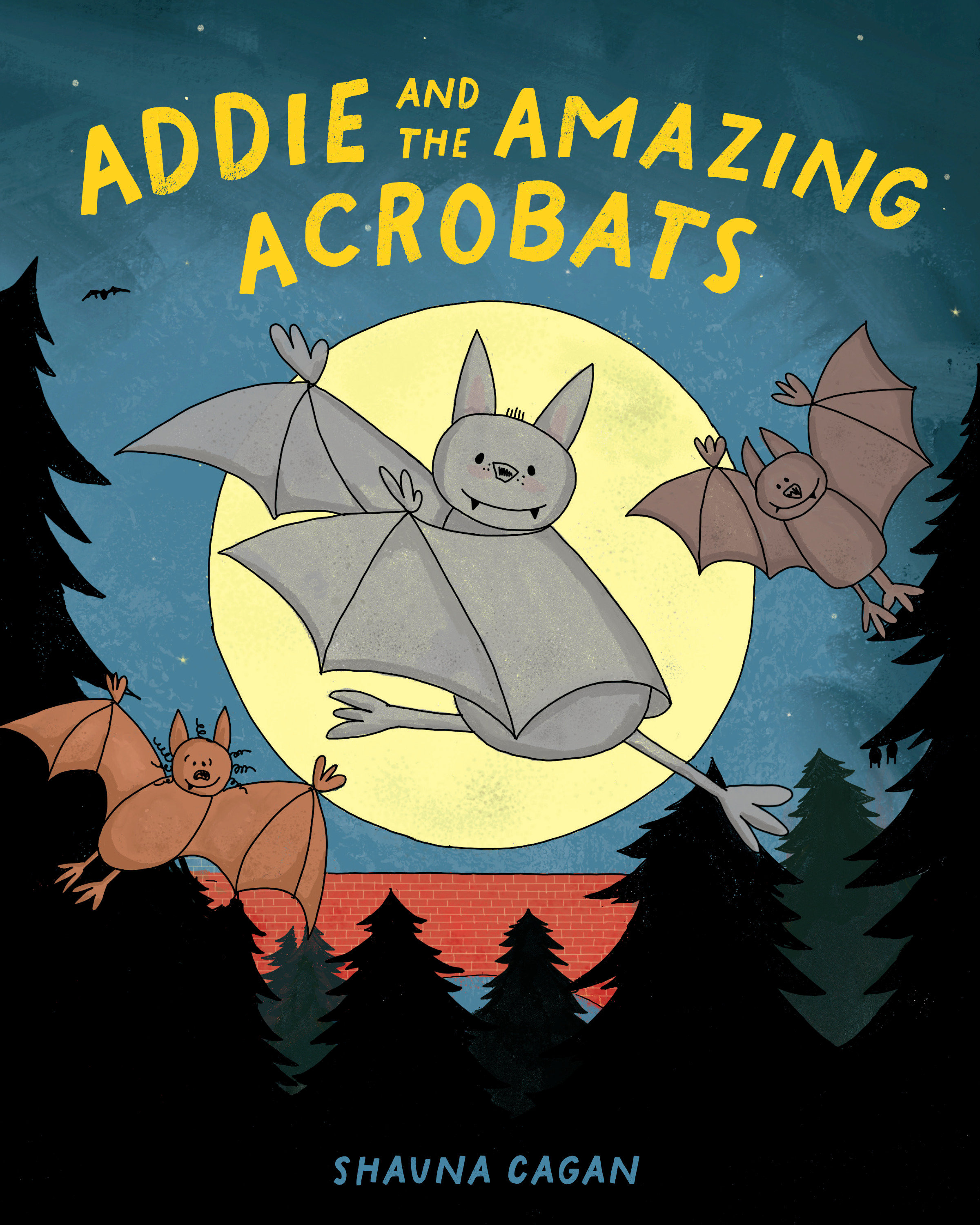Addie and the Amazing Acrobats (Hardcover Book)
