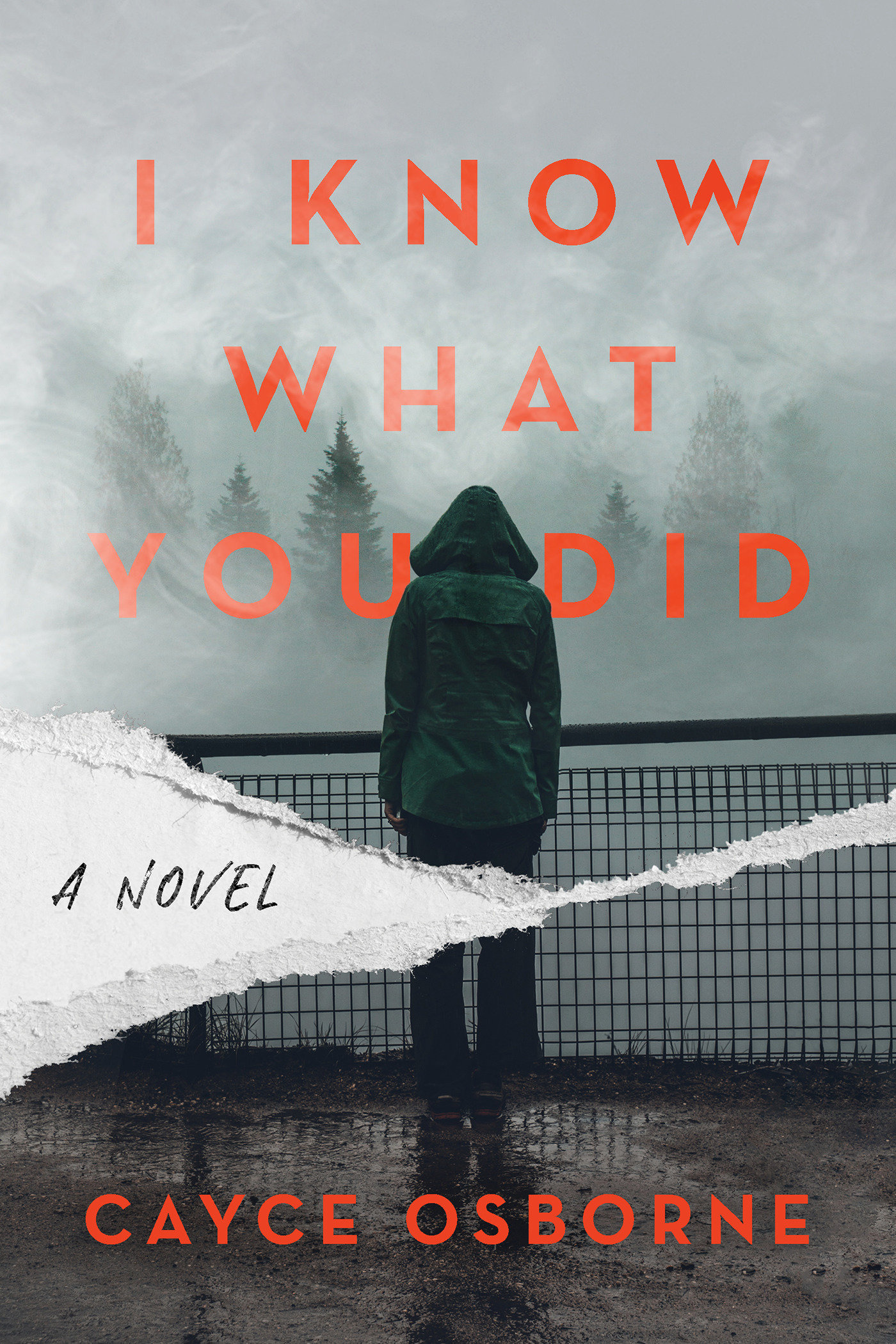 I Know What You Did (Hardcover Book)